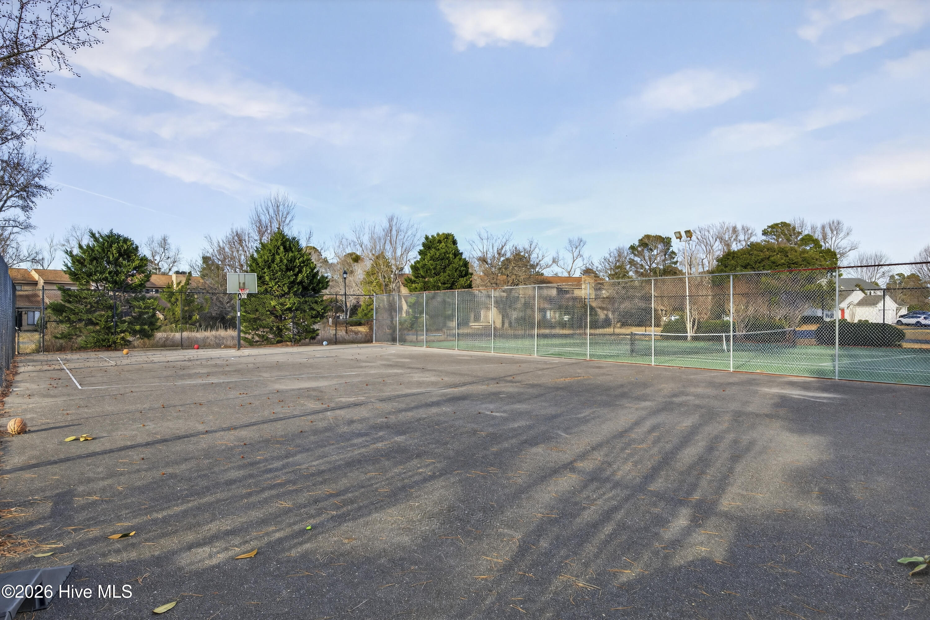 100550573 | Photo 46