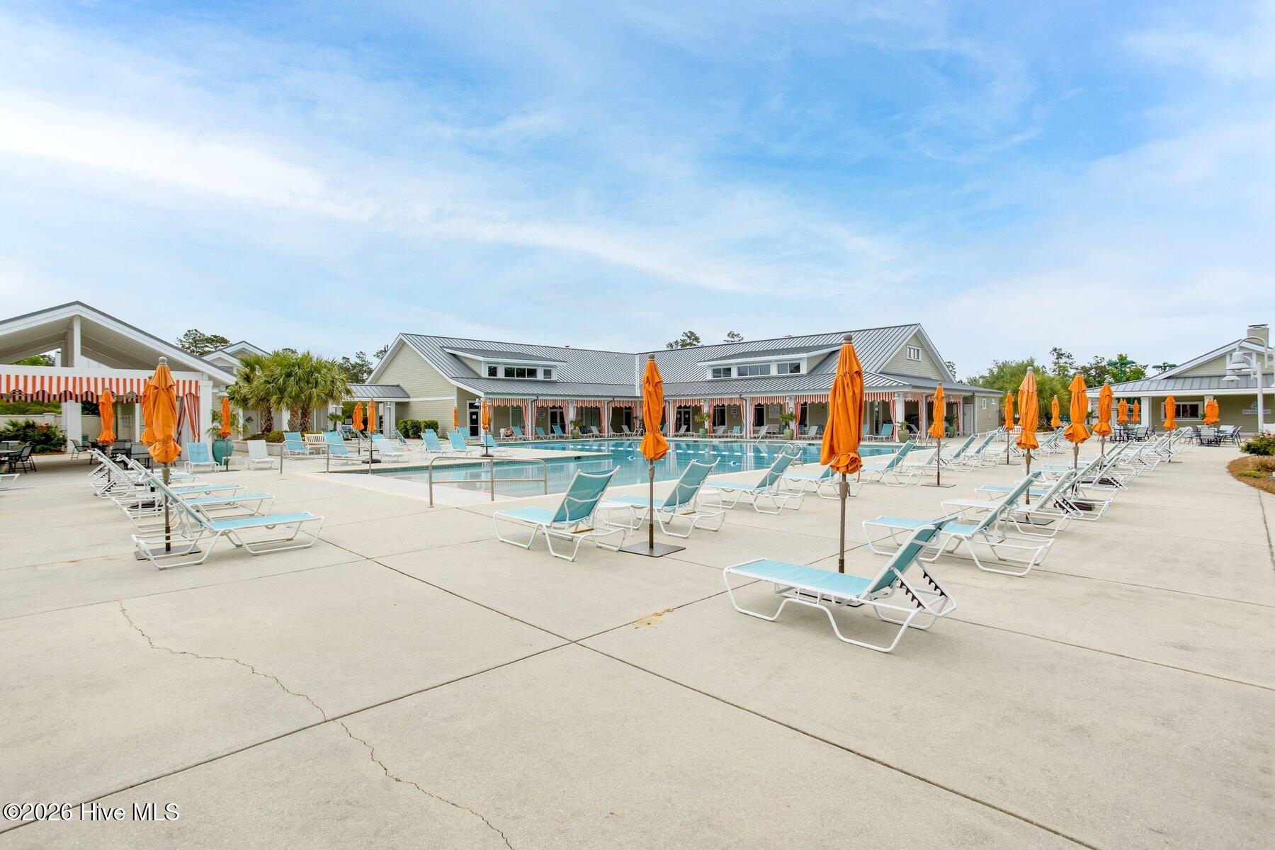 100558018 | Photo 42