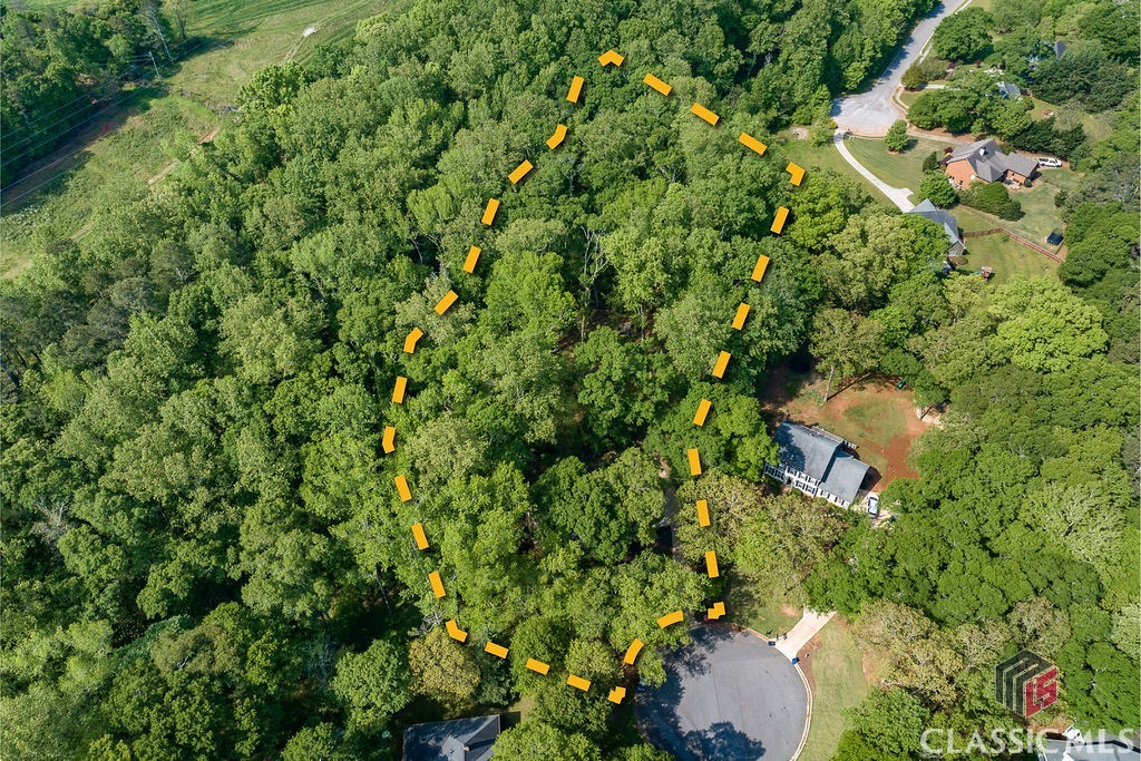 1031 Long Branch Run