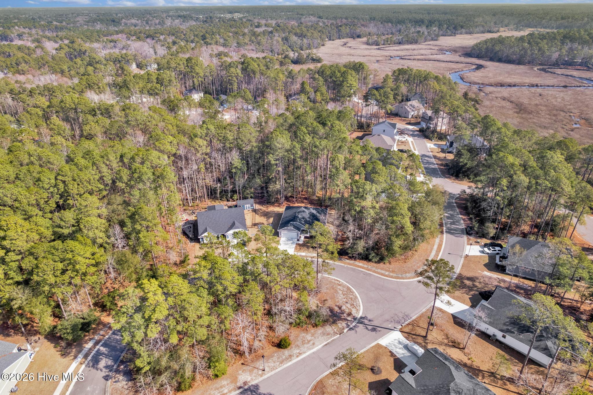 100553643 | Photo 30