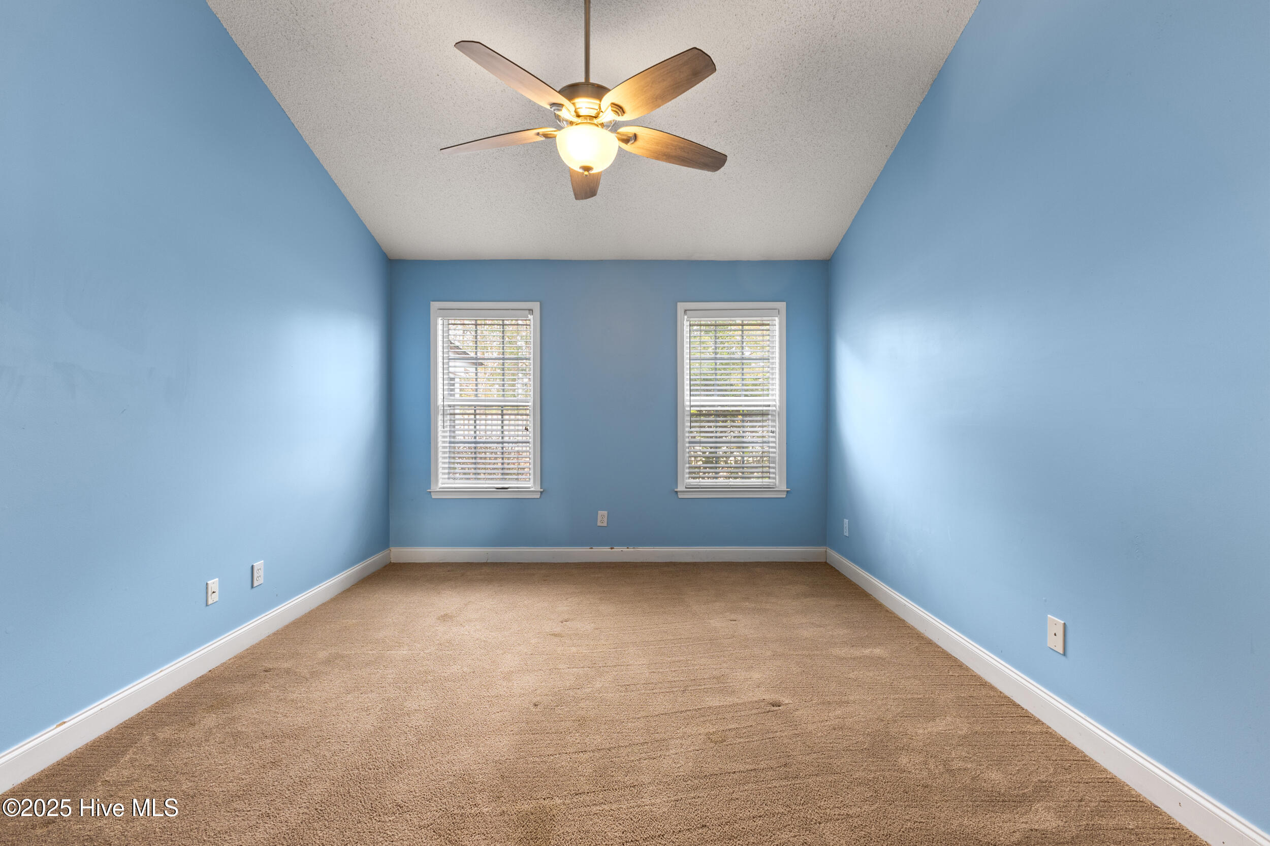 100539988 | Photo 19