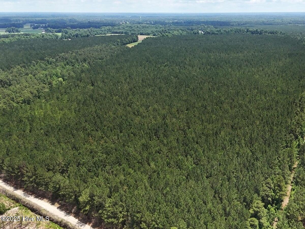 100513588 | Photo 17