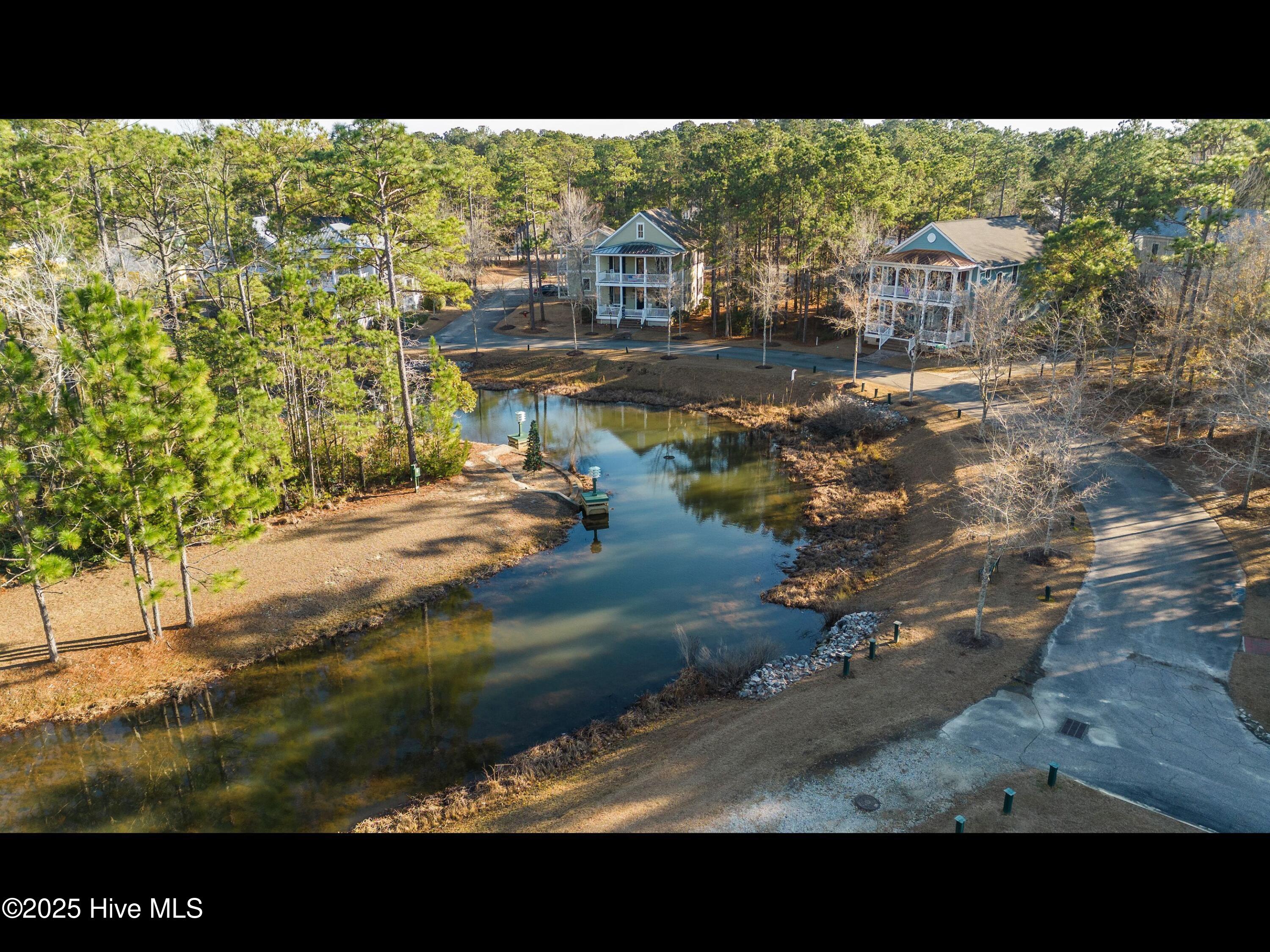 100508798 | Photo 12