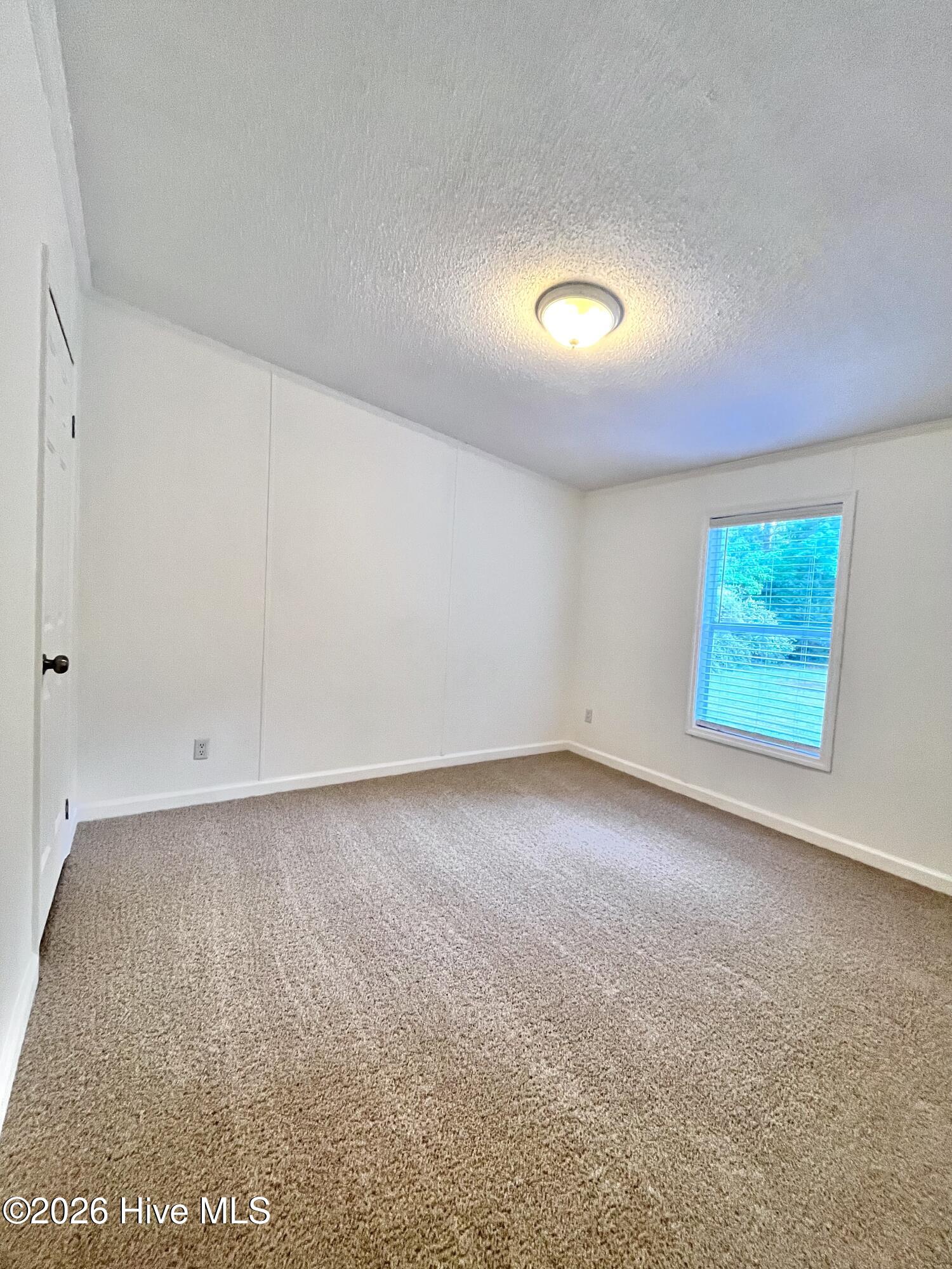 100570125 | Photo 14