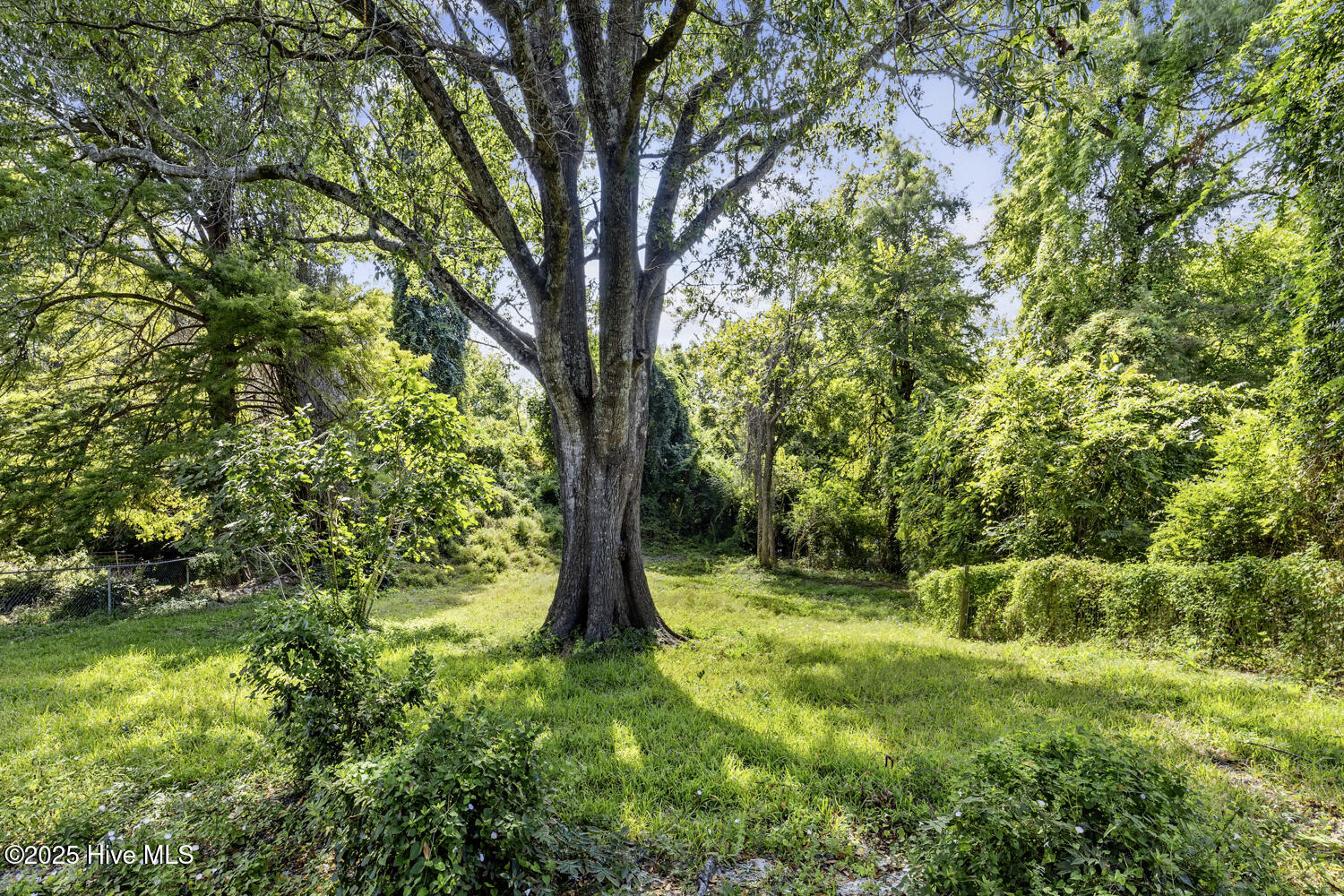 100533328 | Photo 30