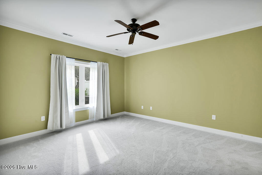 100565781 | Photo 17