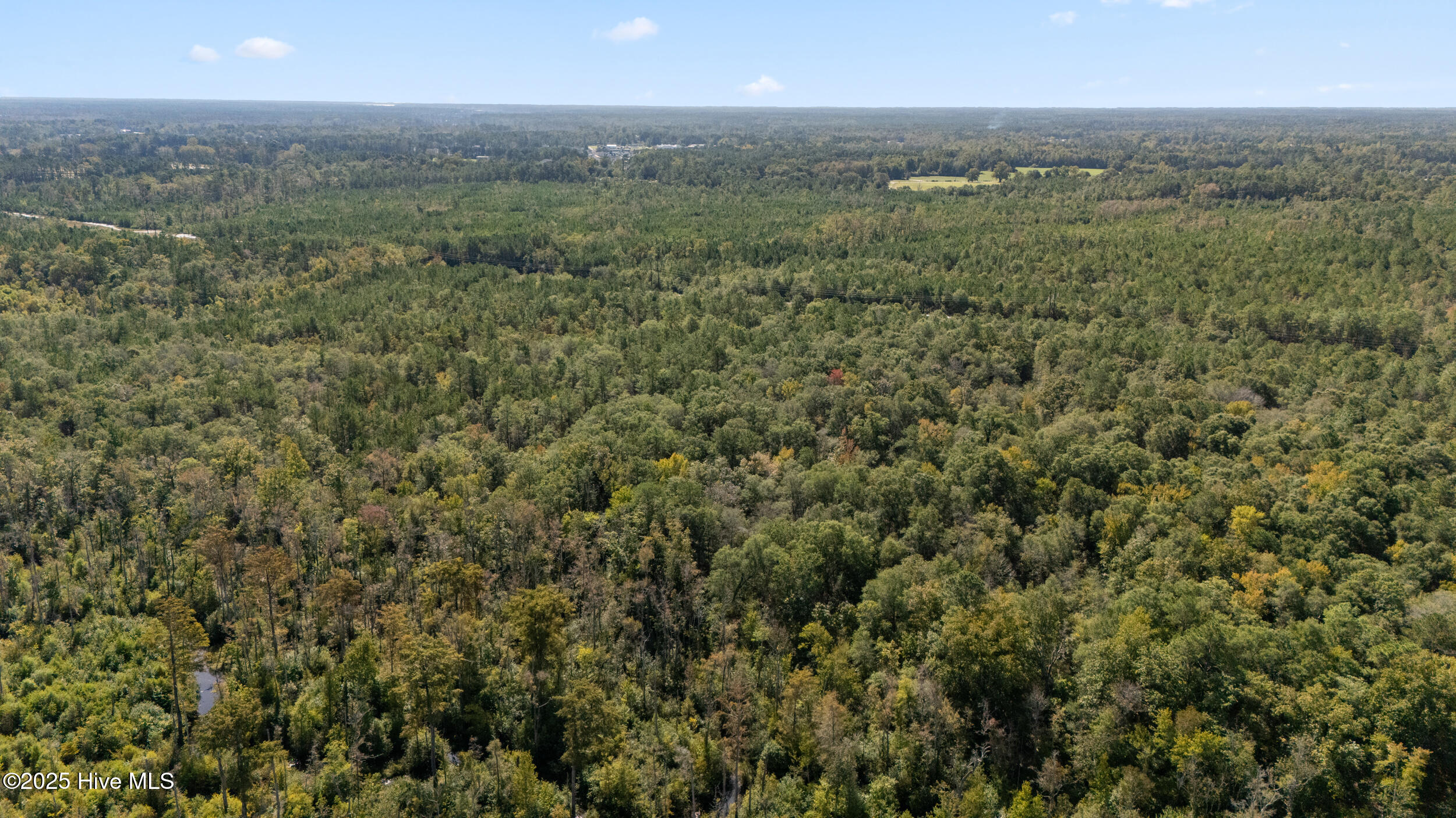 100536371 | Photo 16