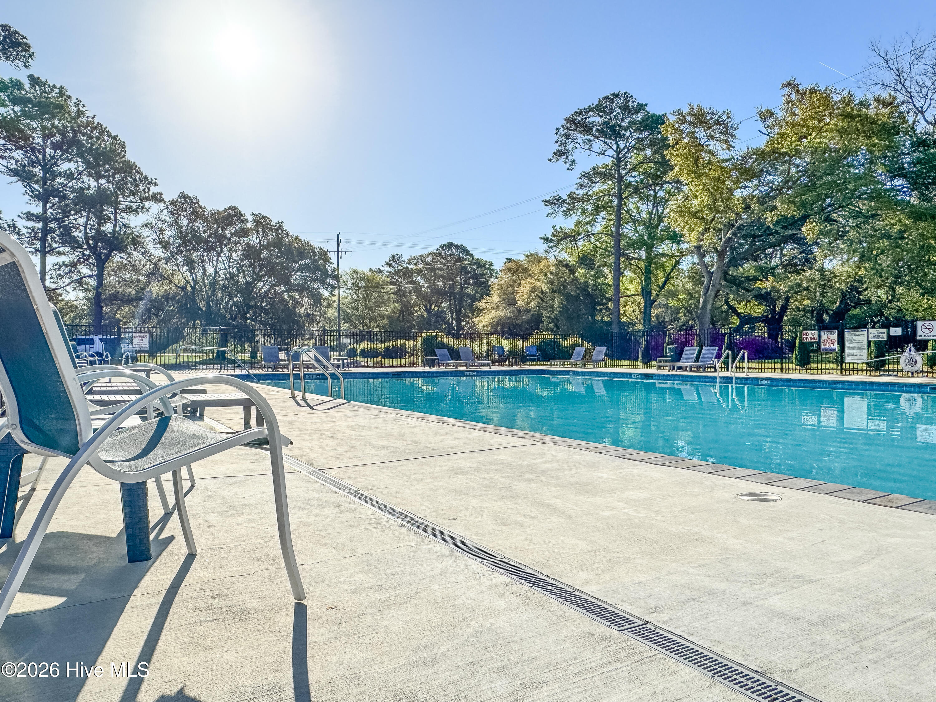 100565099 | Photo 35