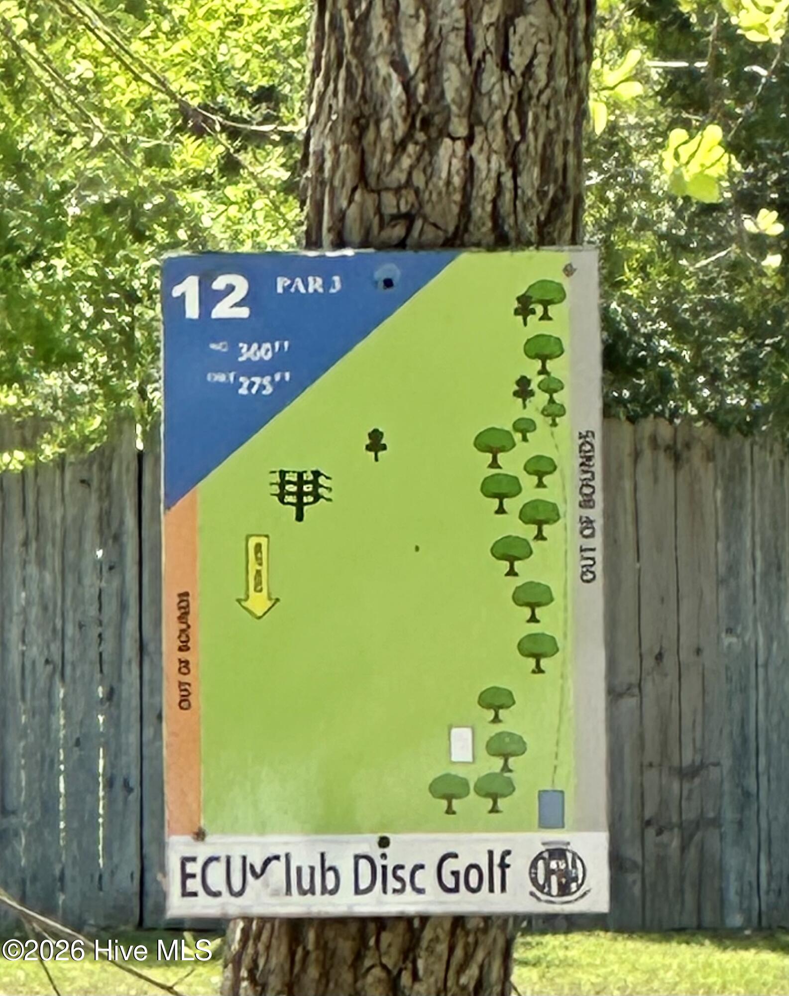 100567713 | Photo 29