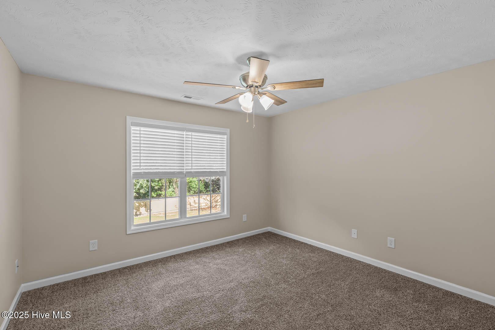 100538607 | Photo 47