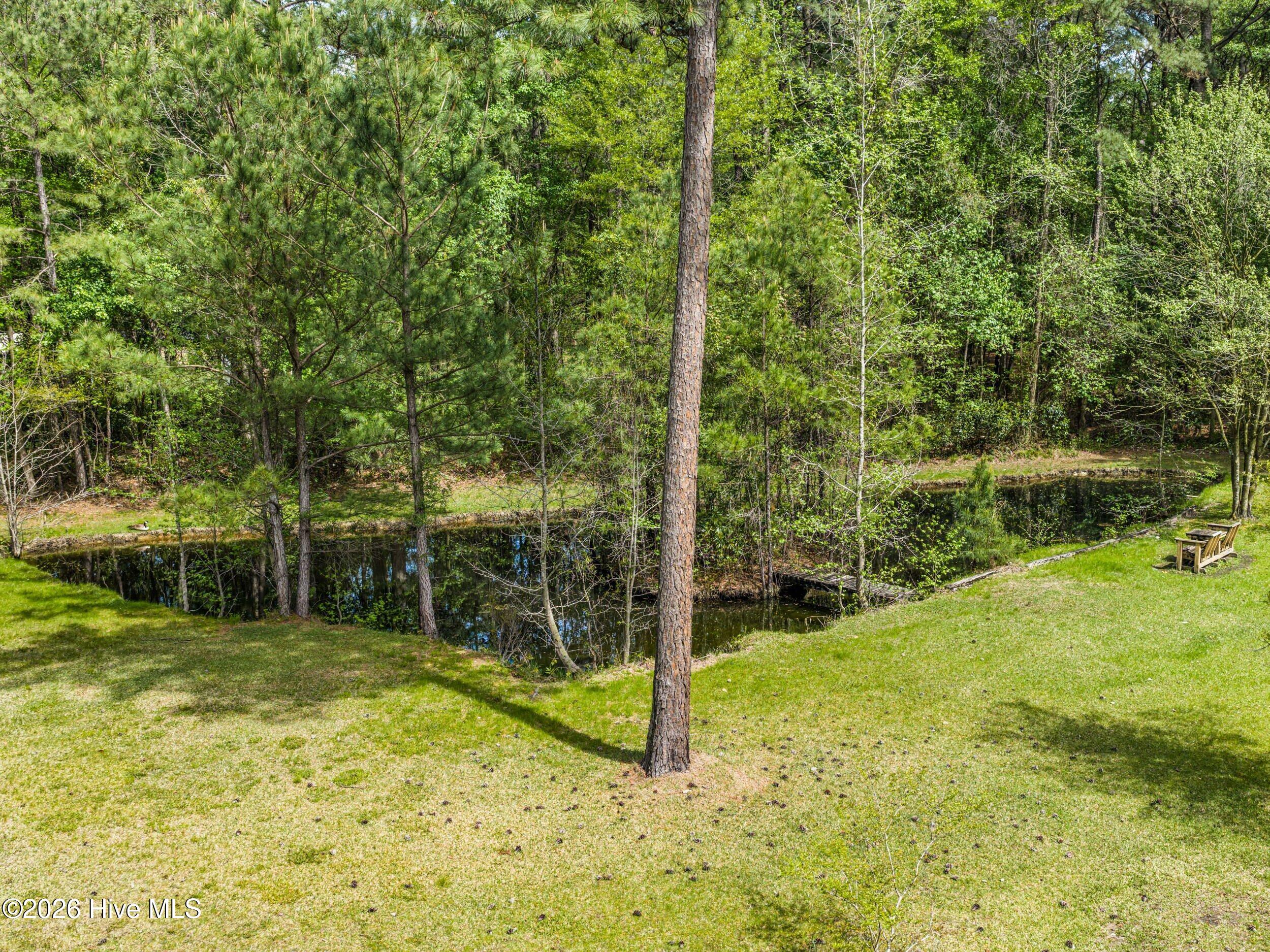 100566420 | Photo 93