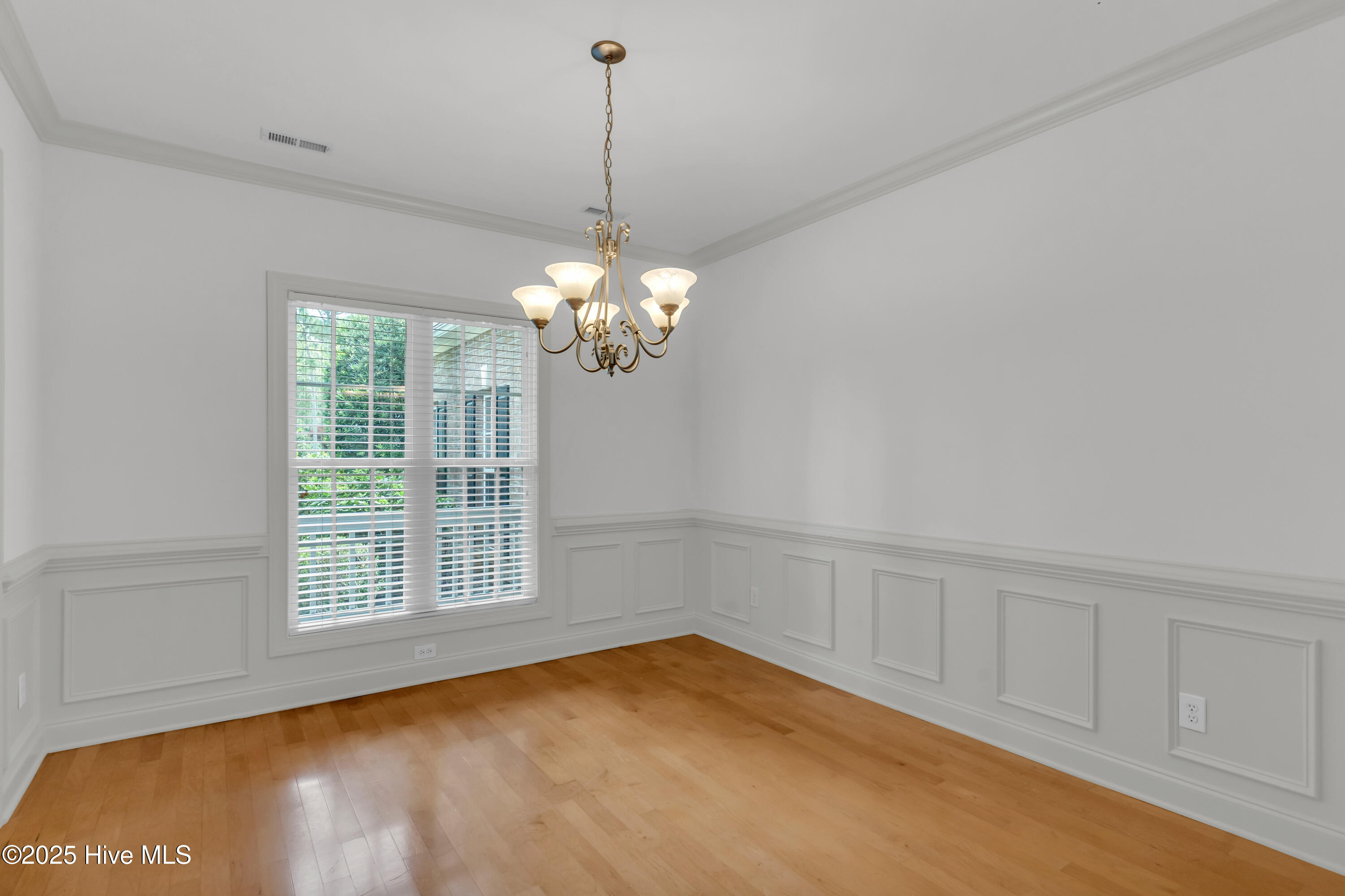 100523896 | Photo 16