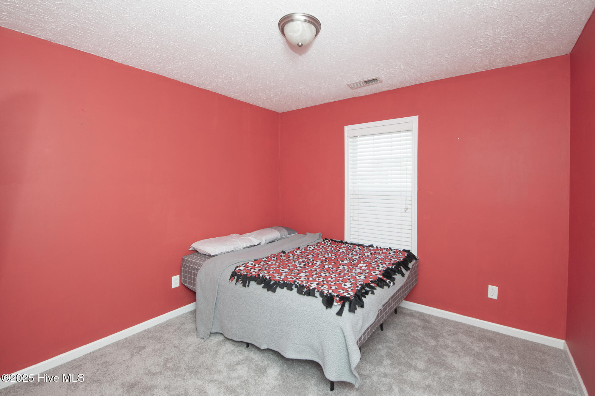 100541598 | Photo 20