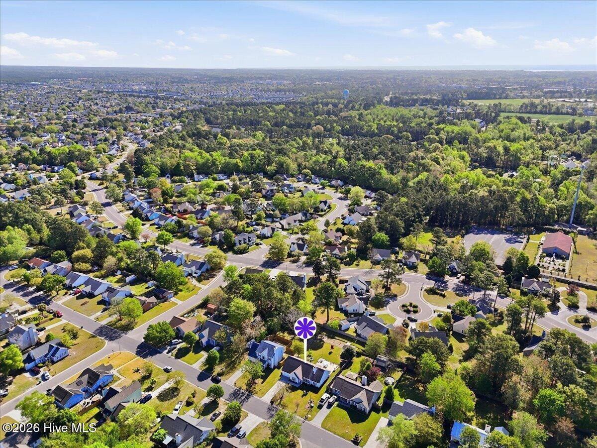 100565579 | Photo 56