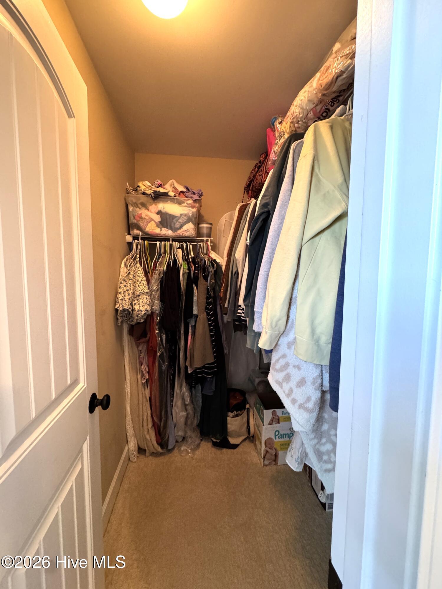 100570620 | Photo 31