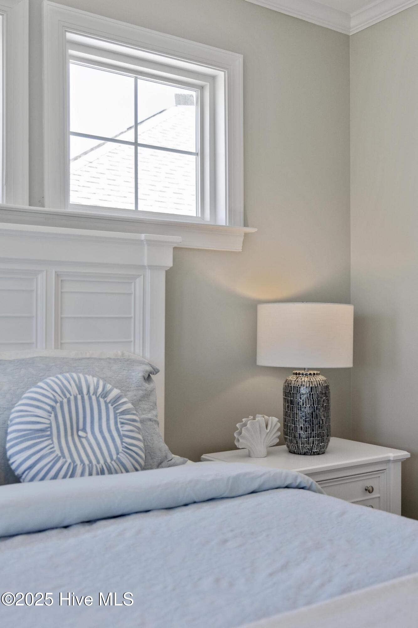 100498543 | Photo 93