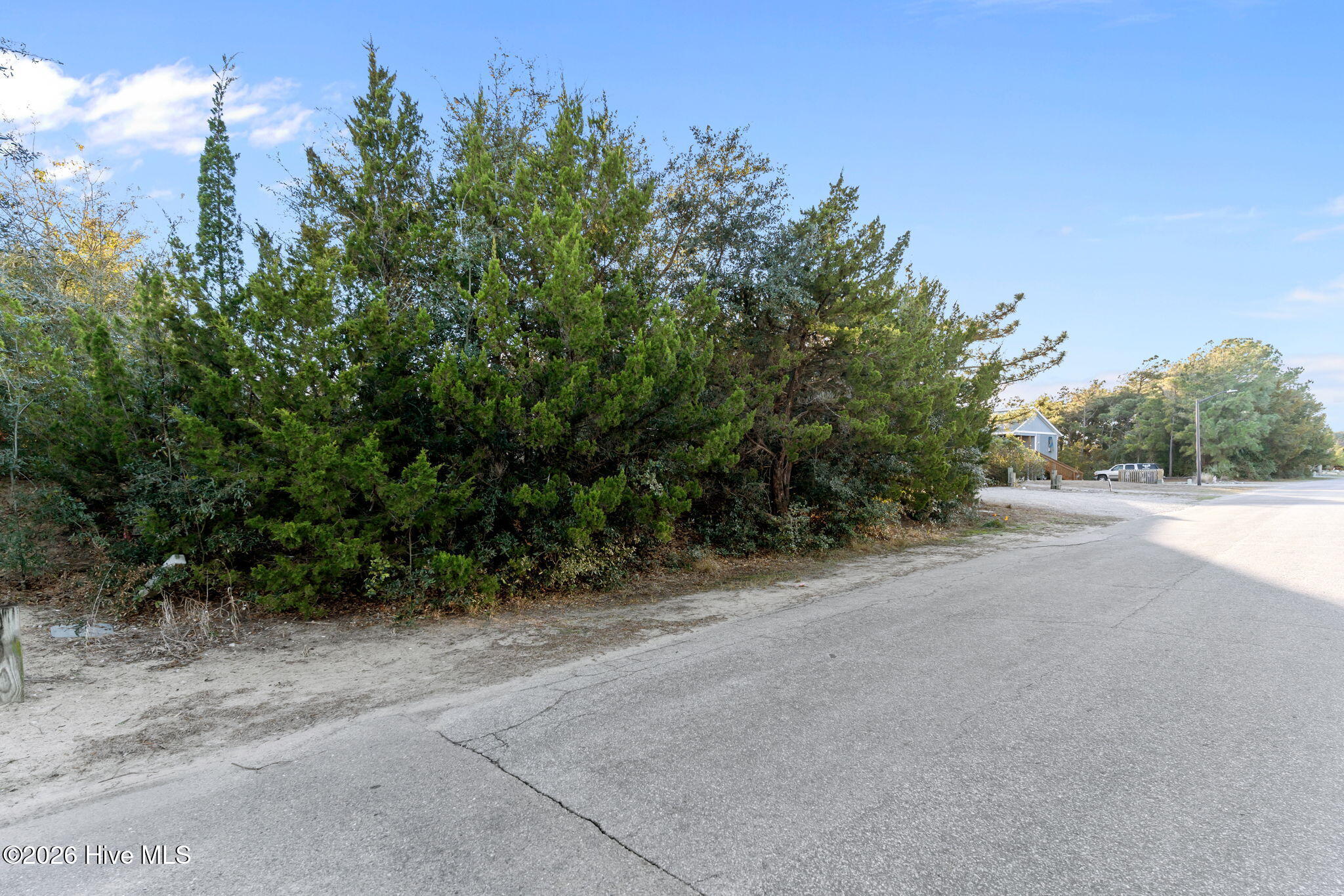 100555092 | Photo 17