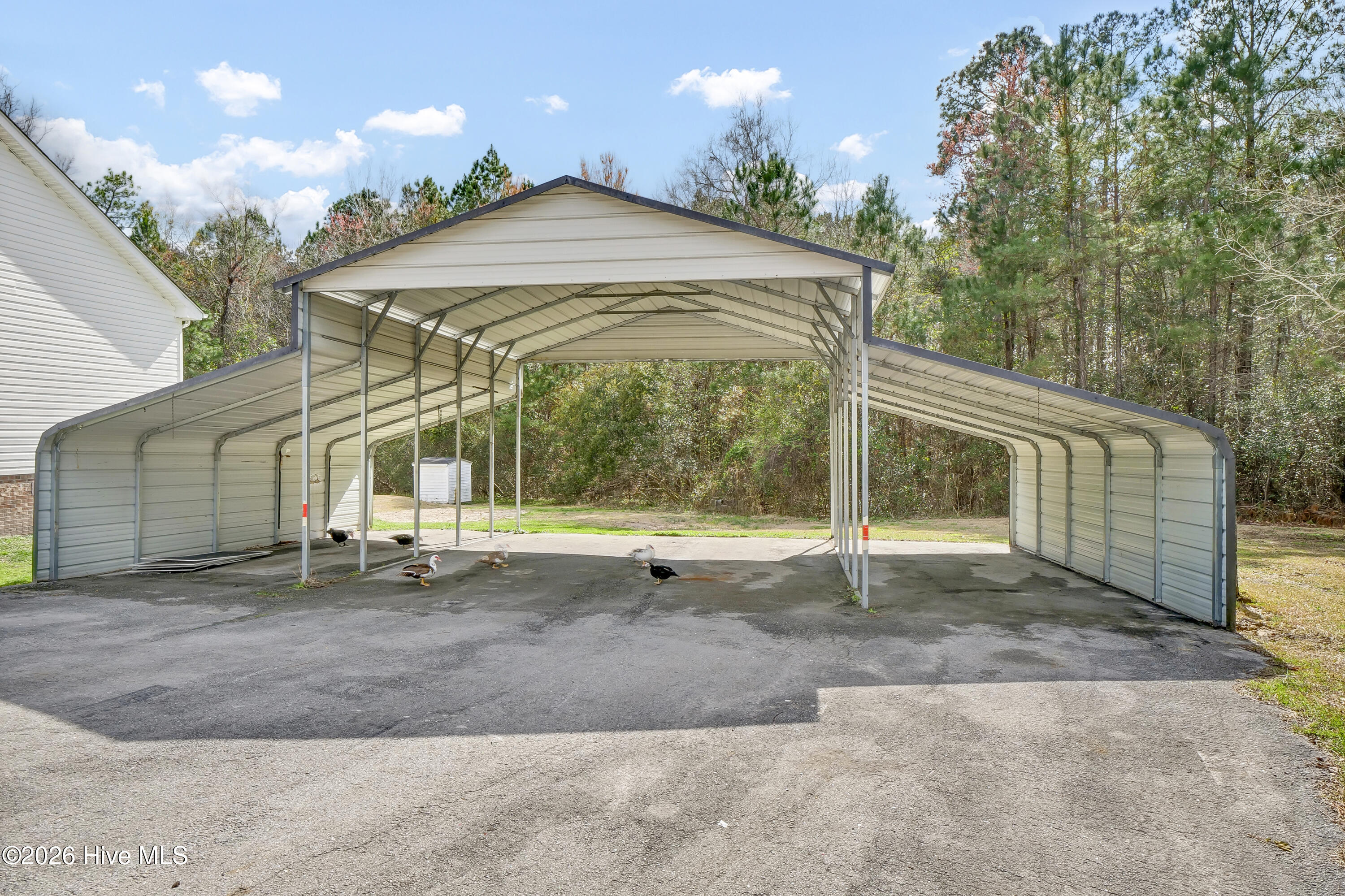 100559268 | Photo 33