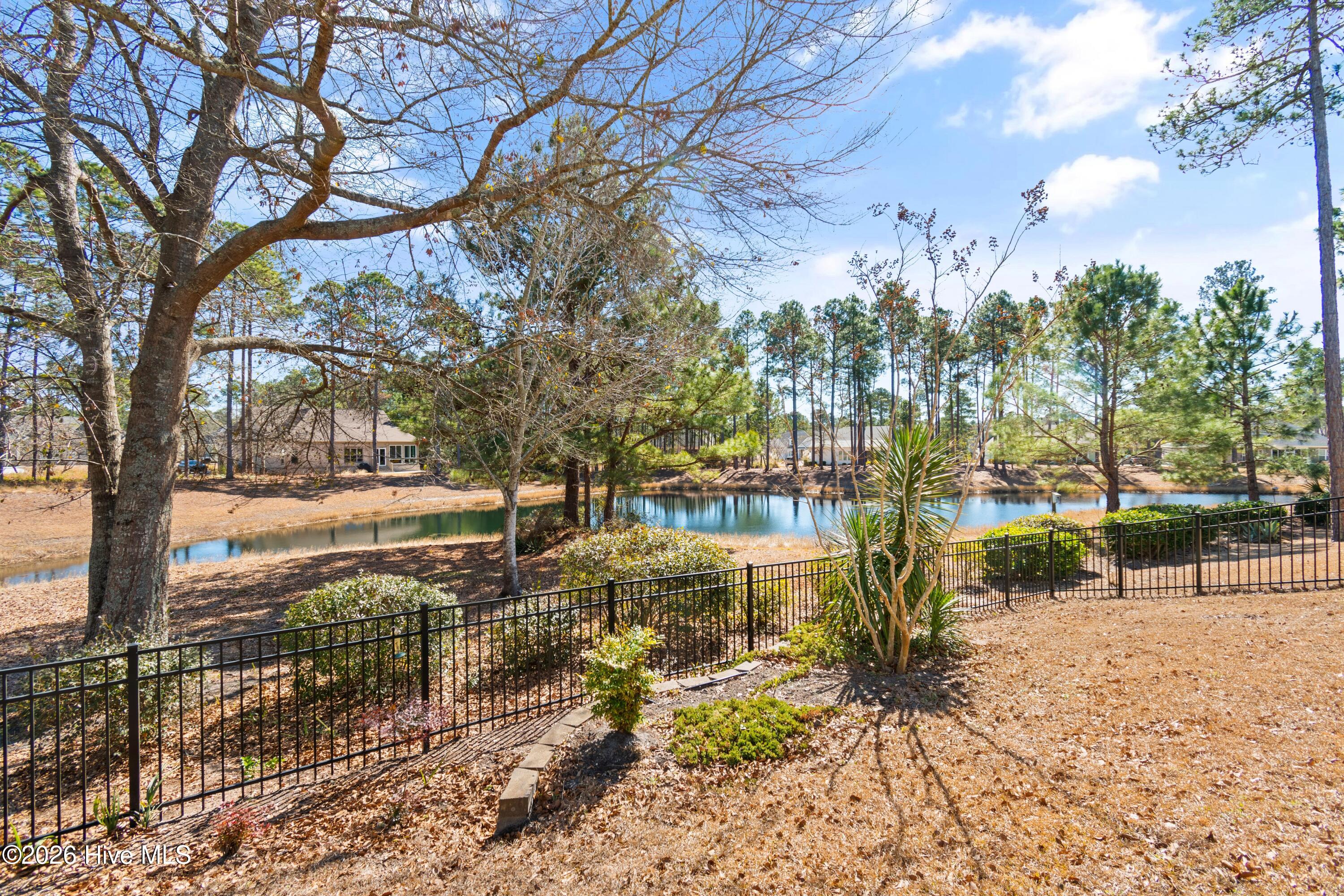 100554573 | Photo 24