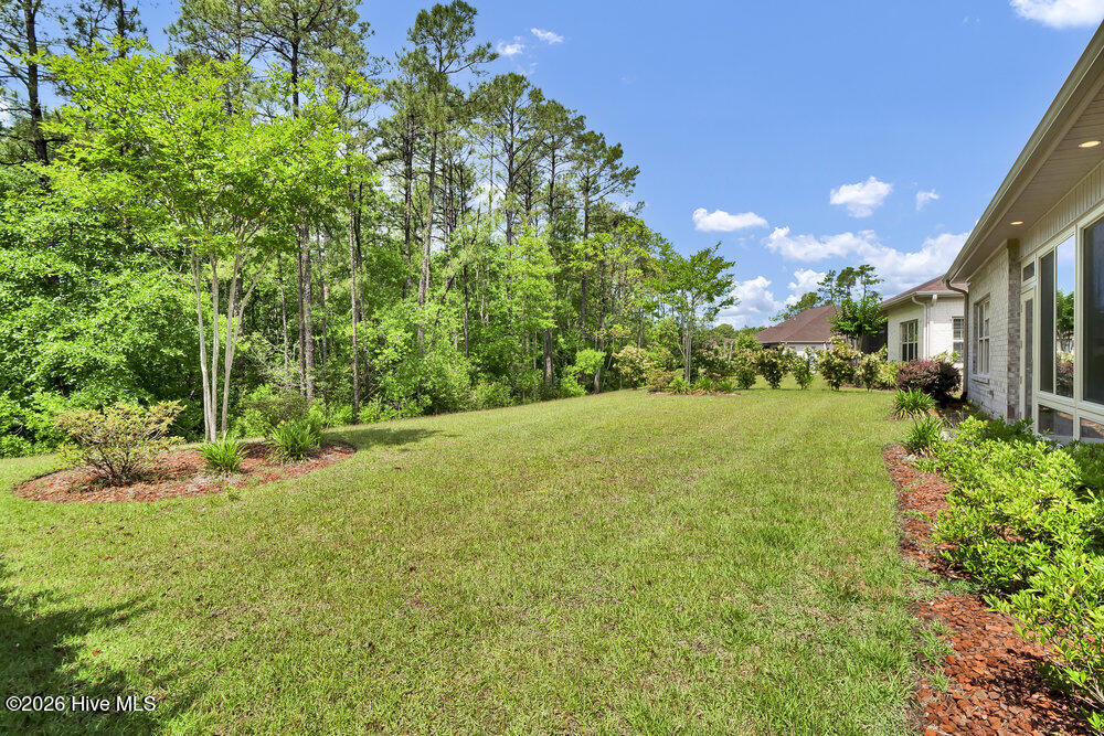 100553445 | Photo 30