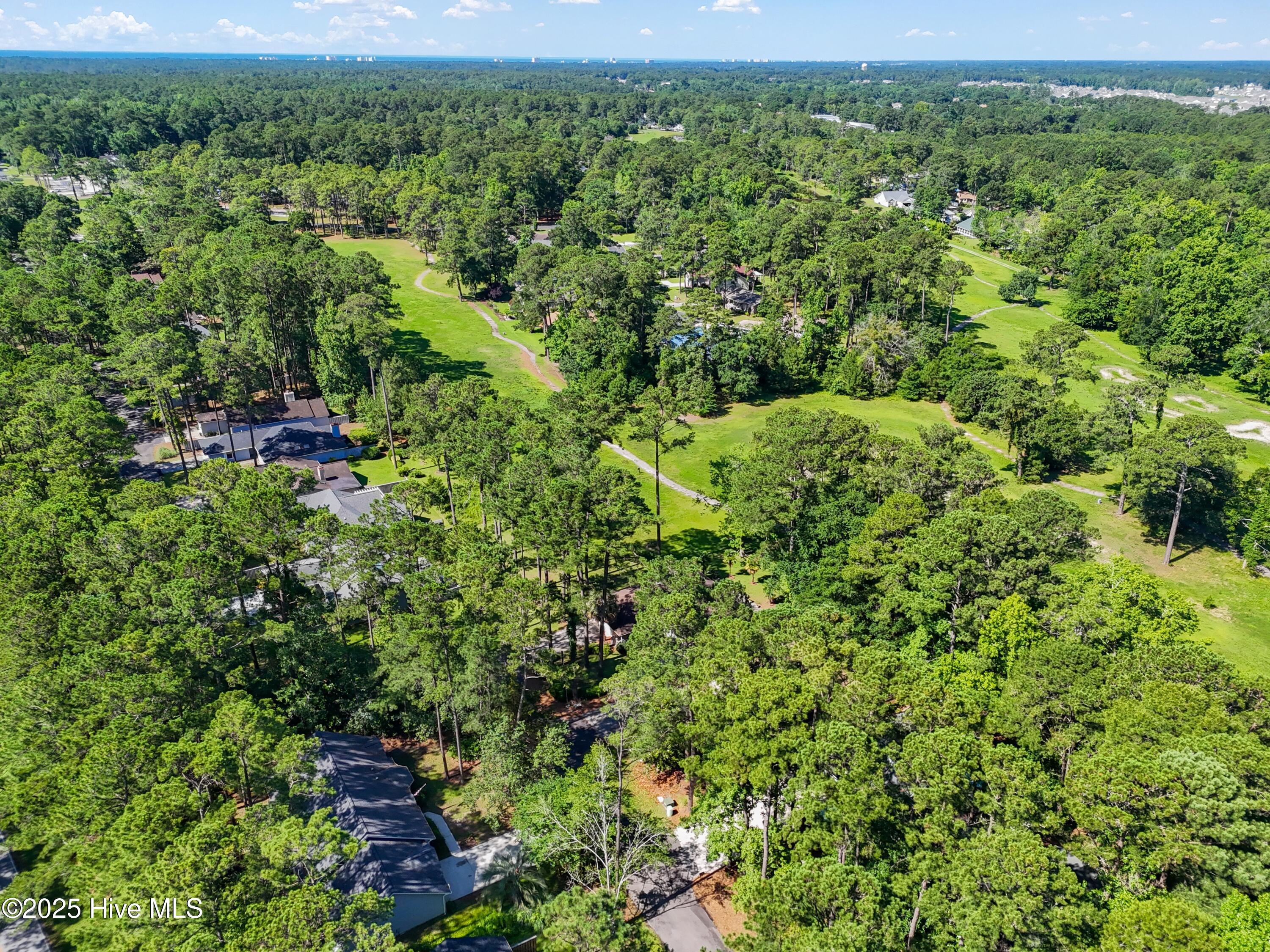 100515628 | Photo 45