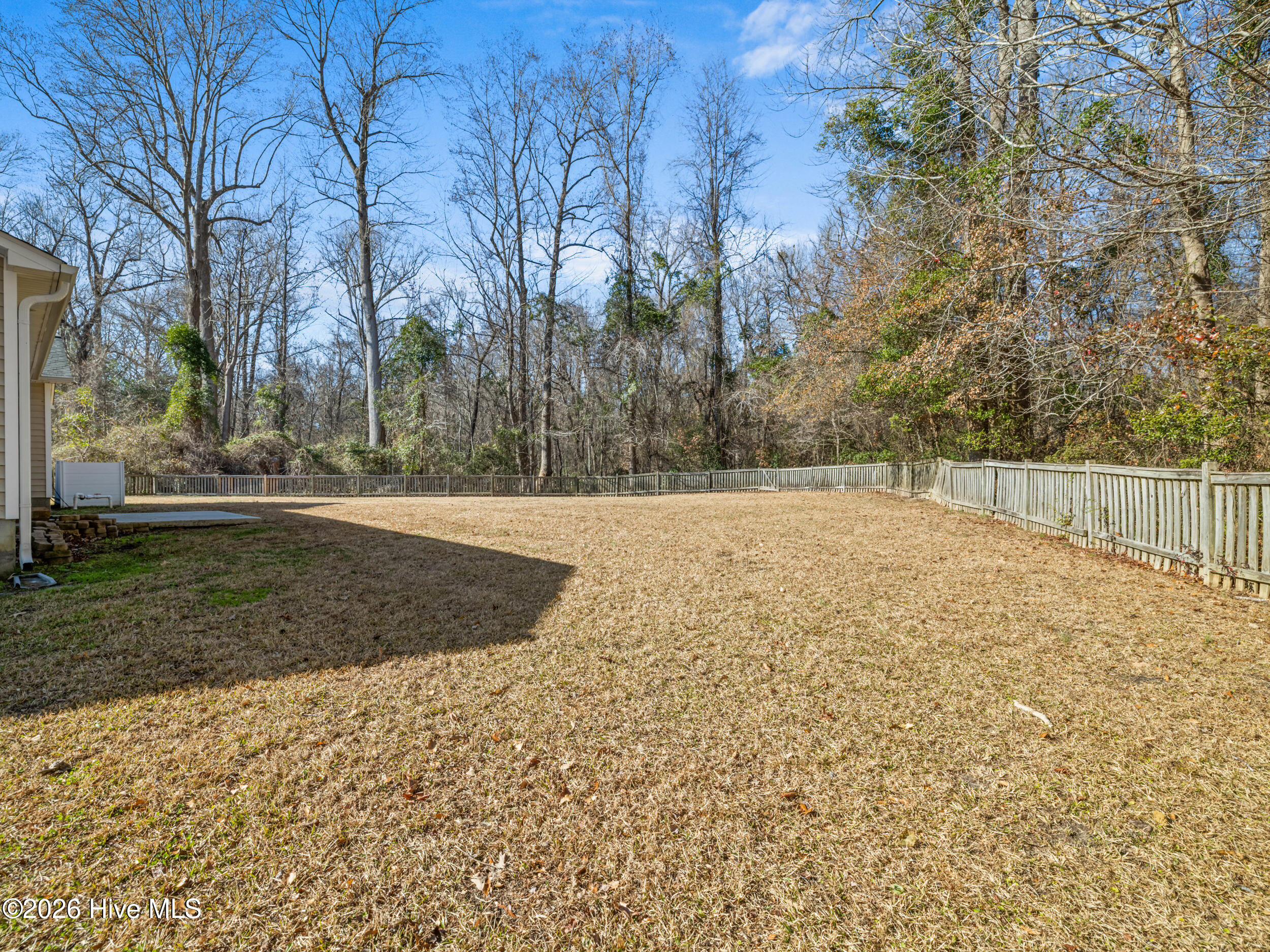 100547559 | Photo 44