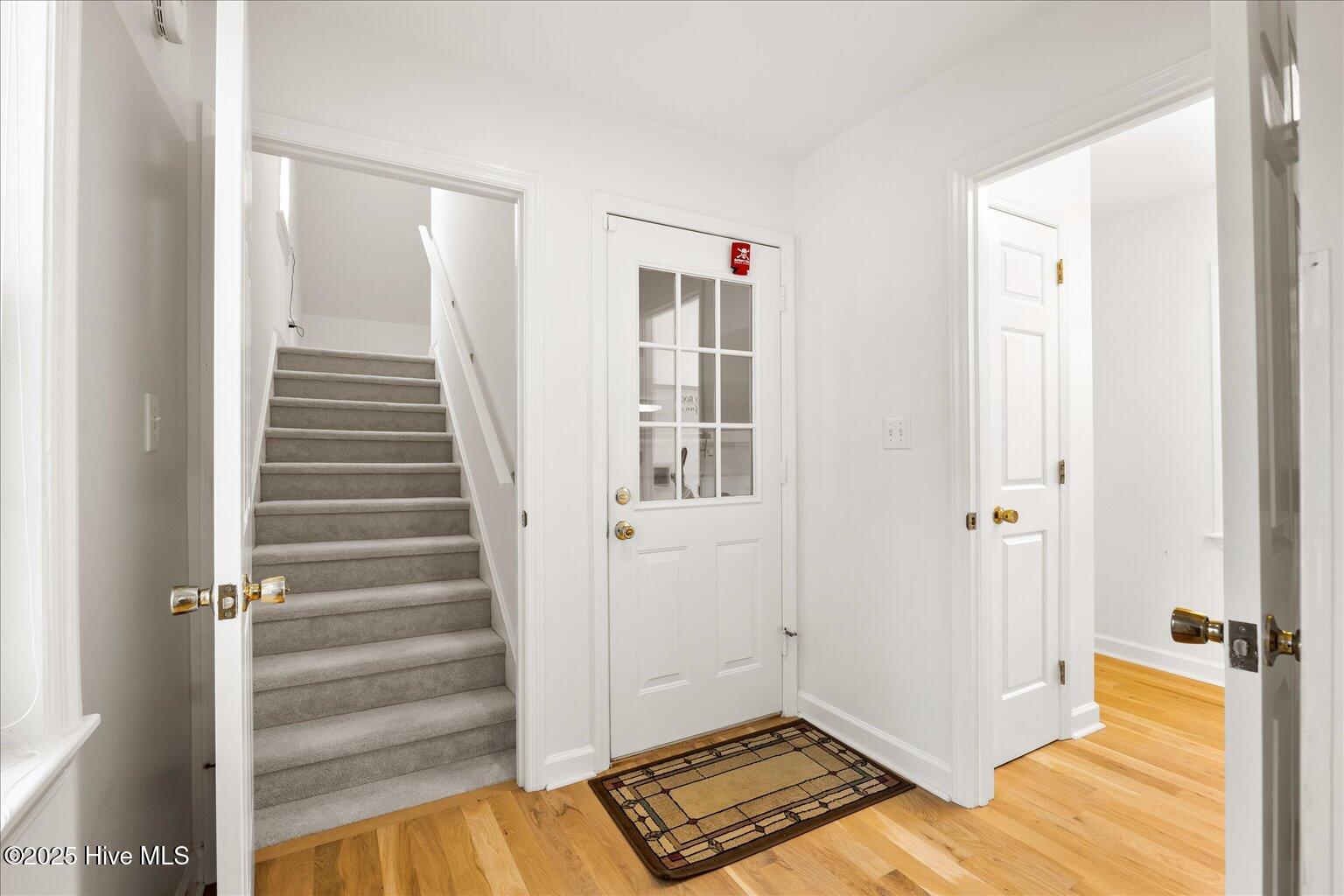 100535280 | Photo 22