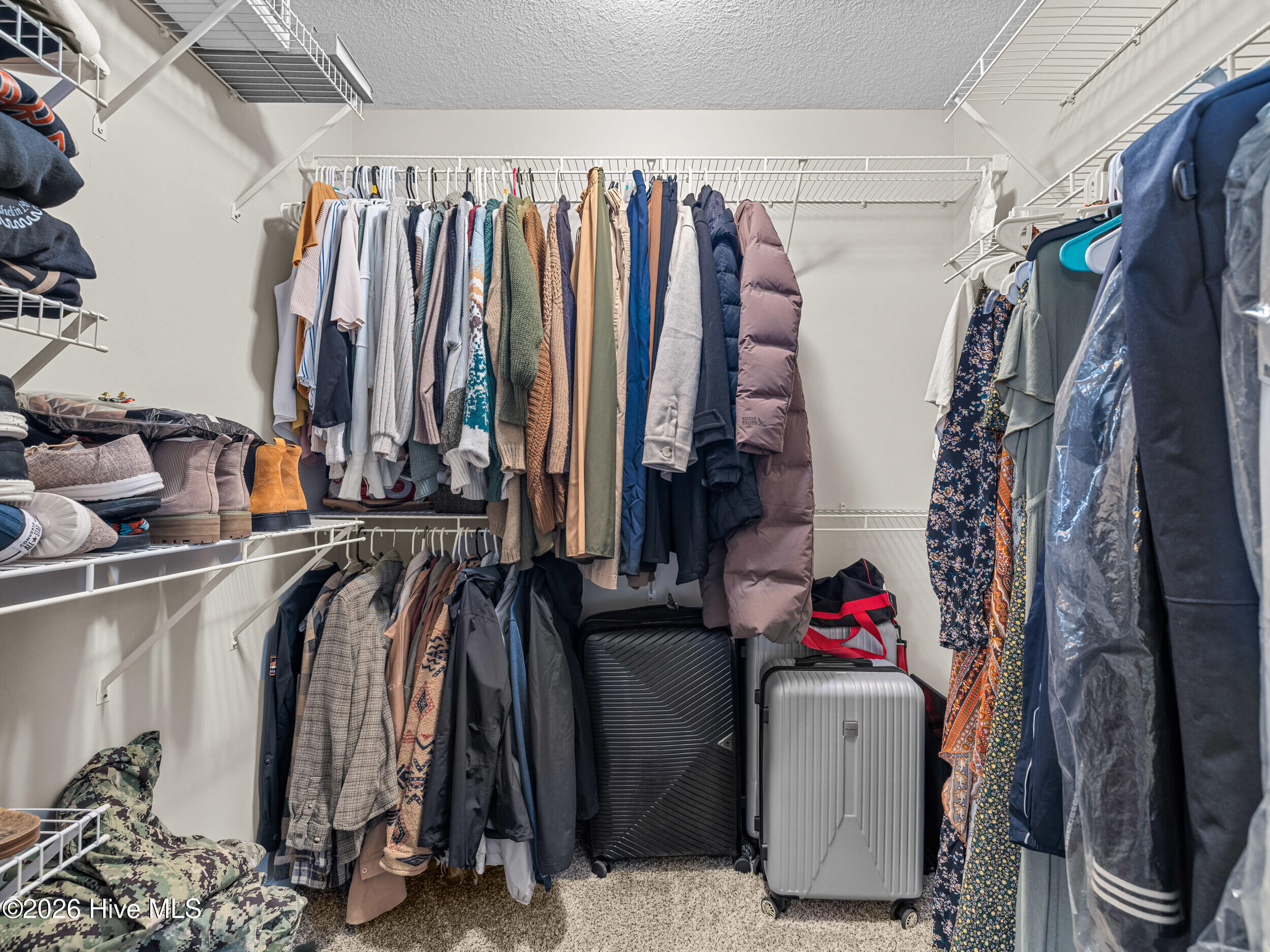 100558064 | Photo 24