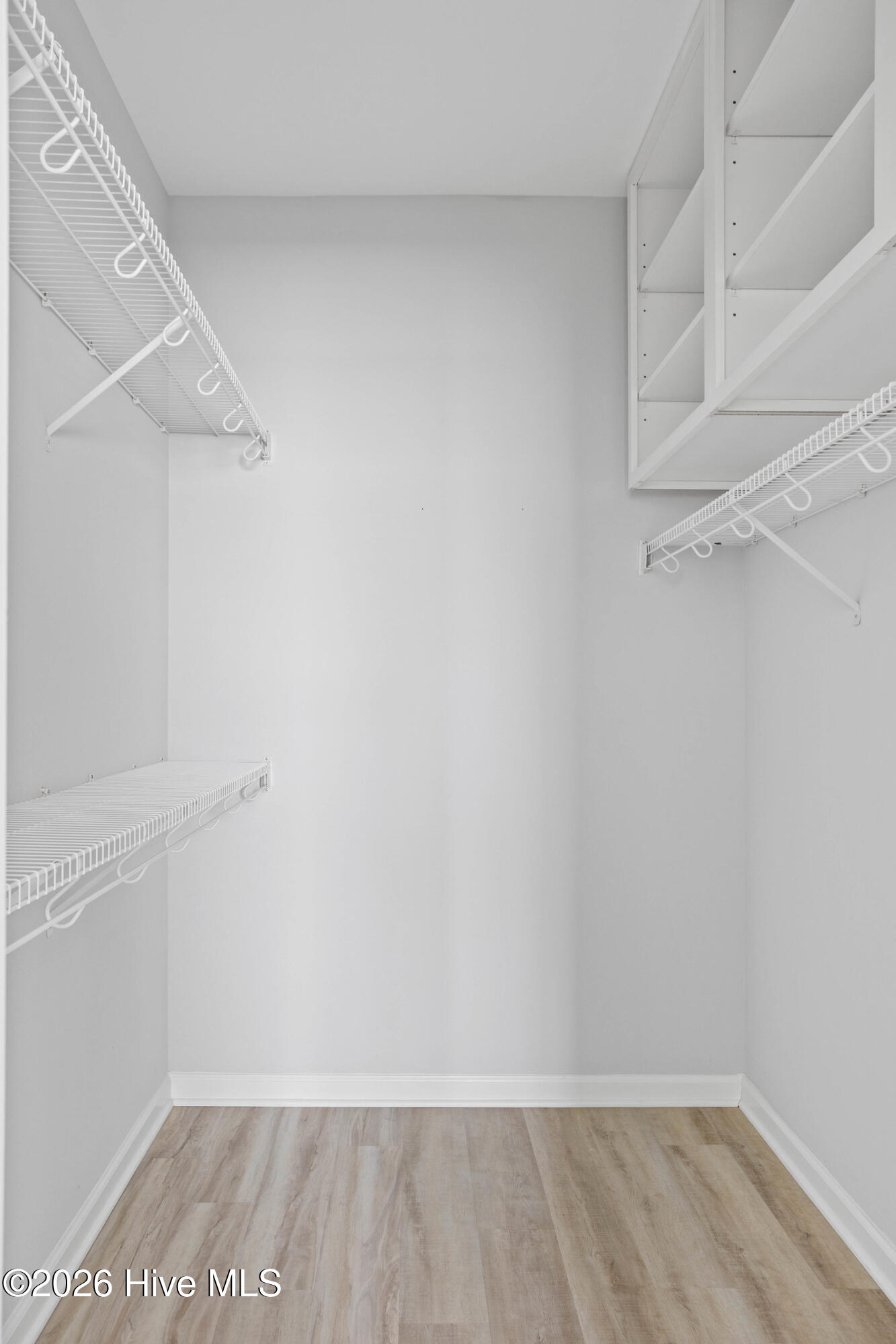 100557830 | Photo 19