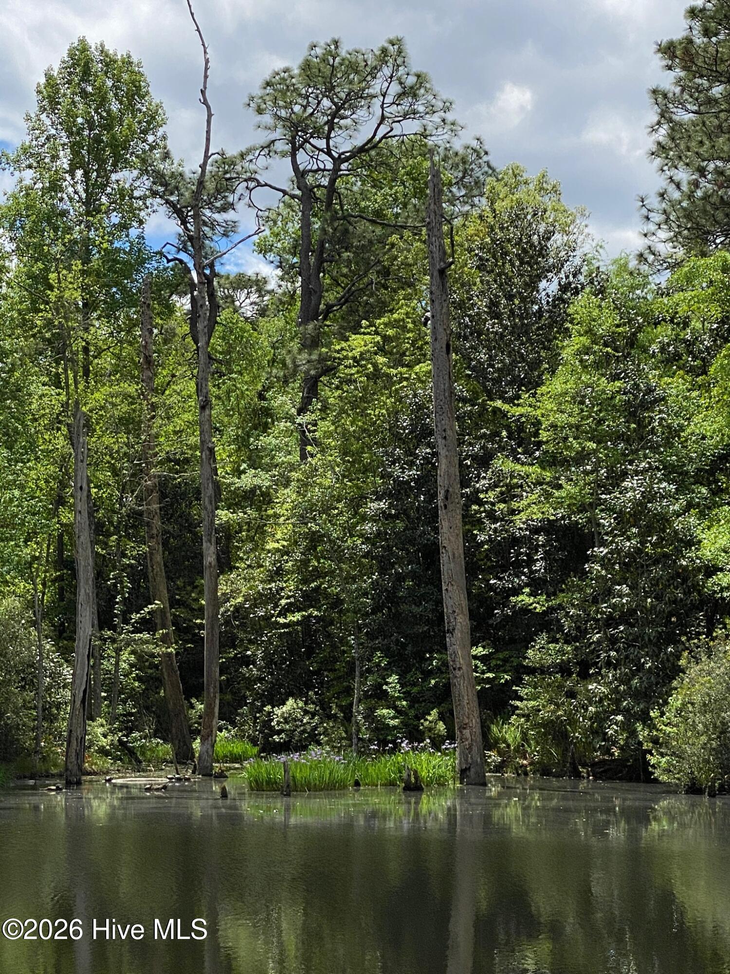 4 Augusta Way, Pinehurst, NC, 28374