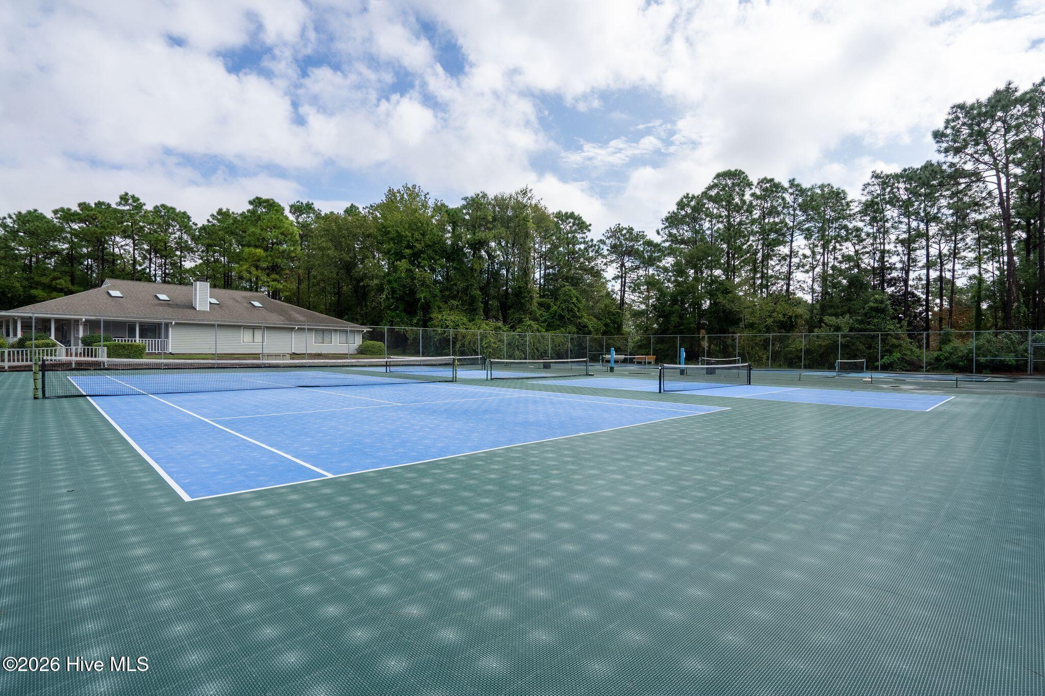 100555820 | Photo 59