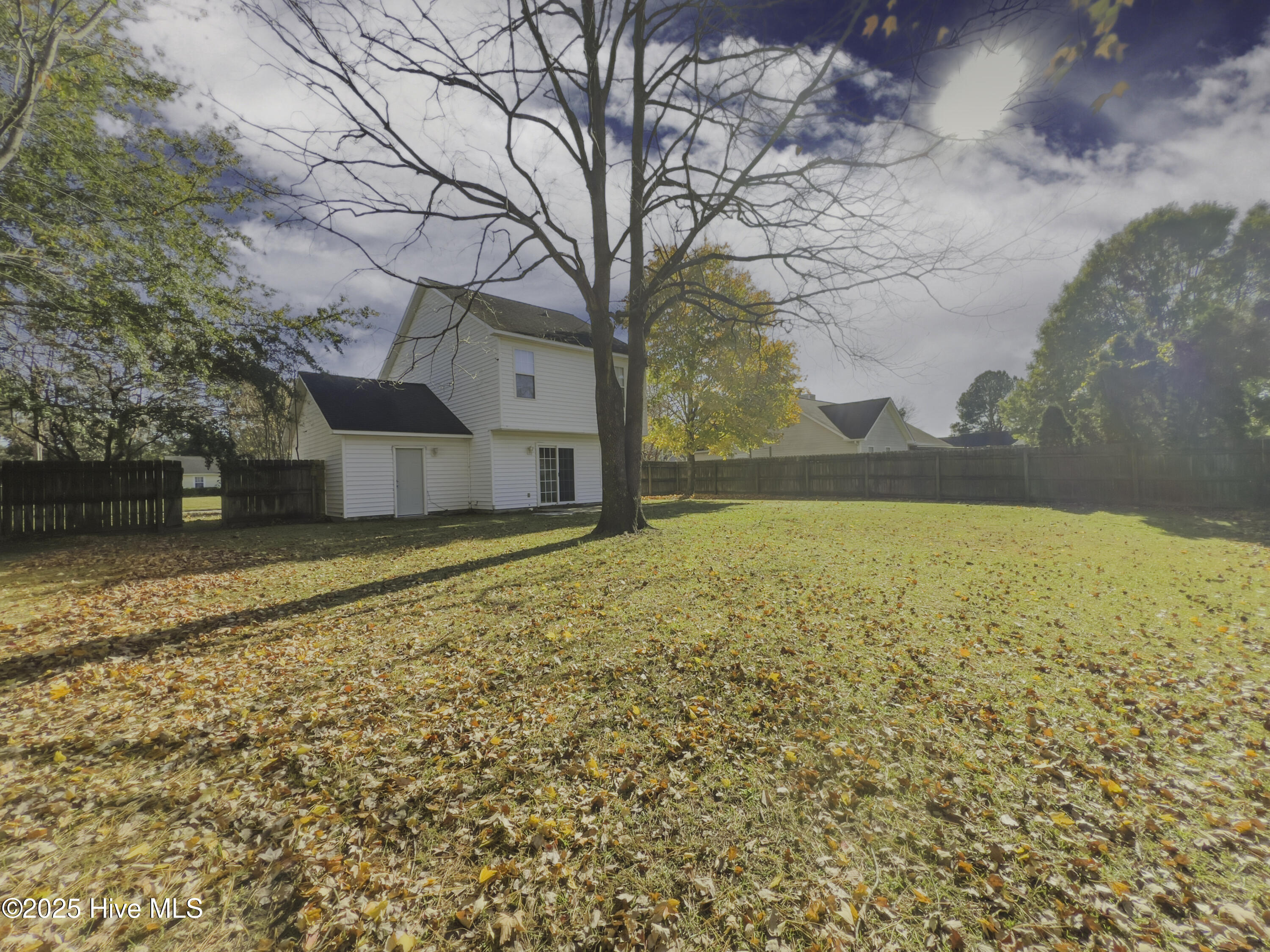 100536180 | Photo 35