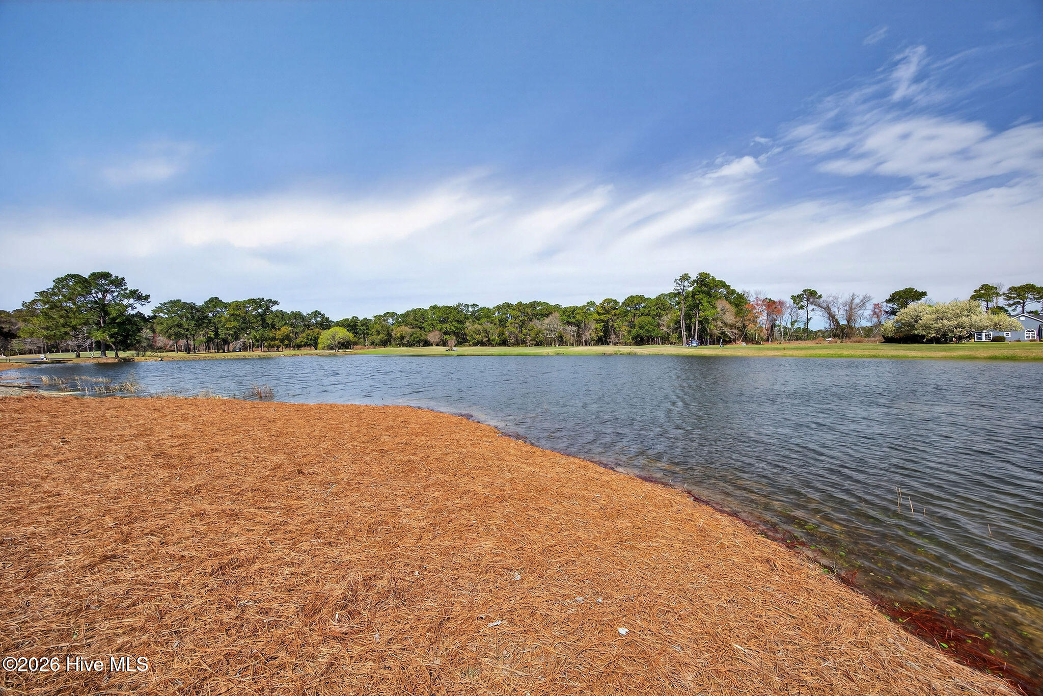 100542408 | Photo 18