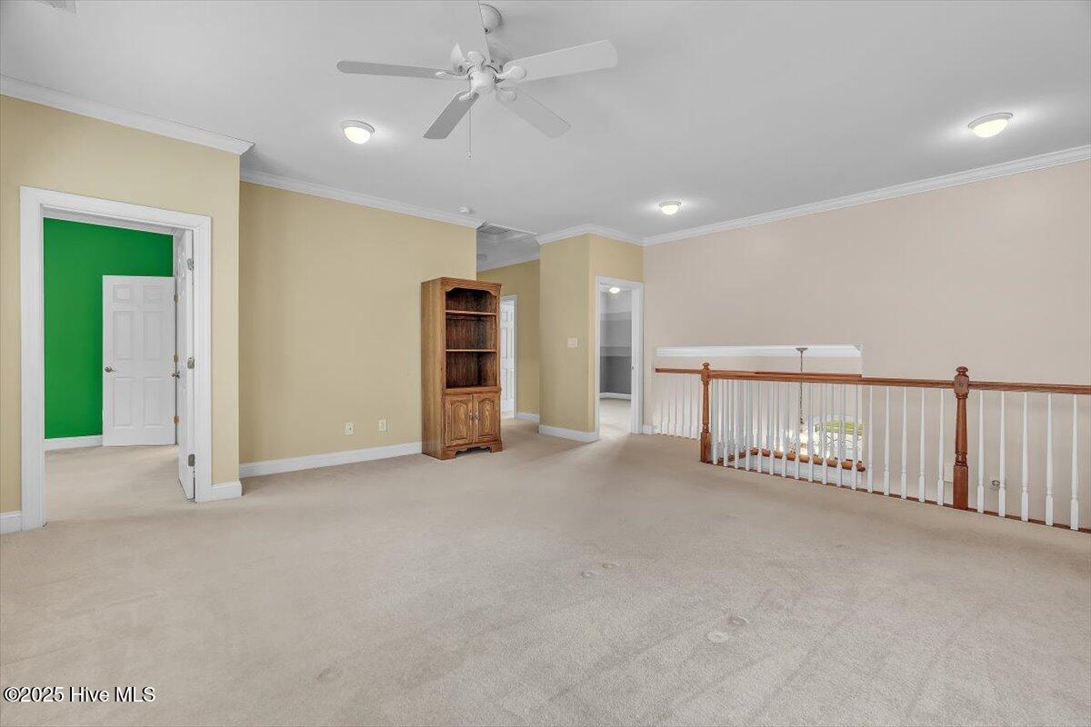 100534566 | Photo 69