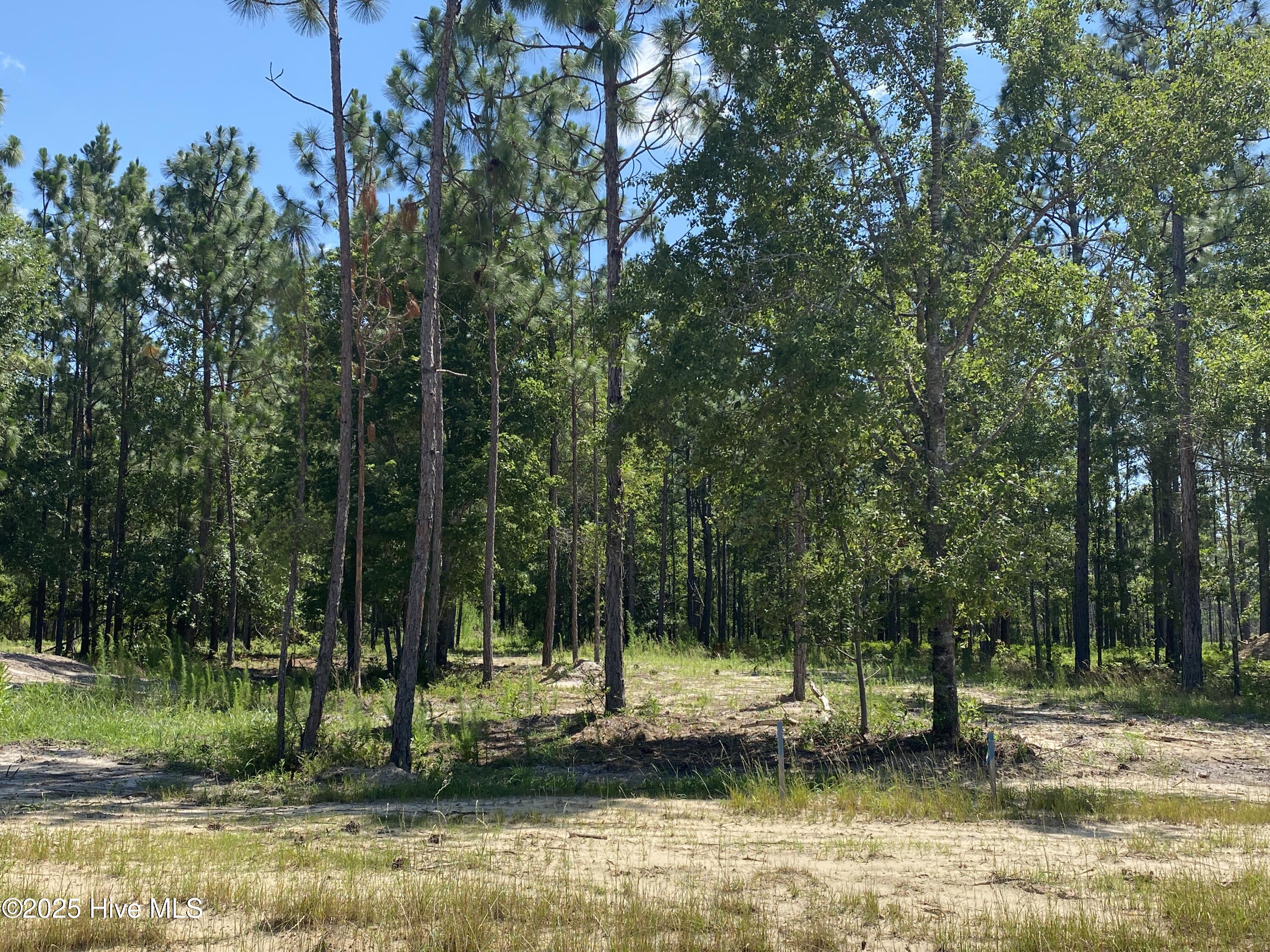 8738 7 Compass Pointe West Wynd NE photo