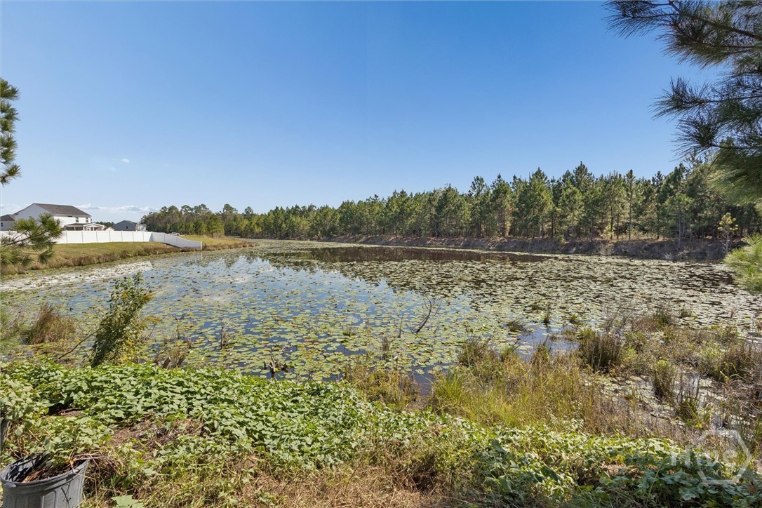 455 Tondee Way, Midway, GA 31320 Listing Photo  48