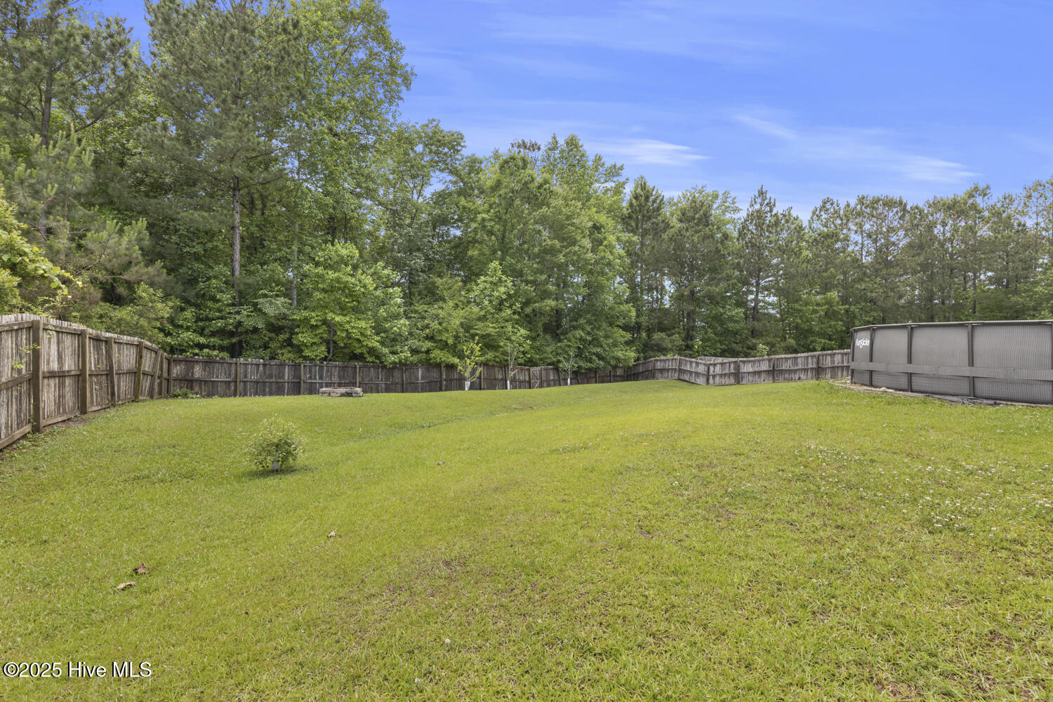 100523446 | Photo 38