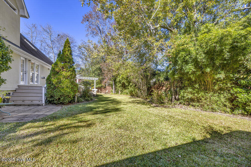 100541424 | Photo 32