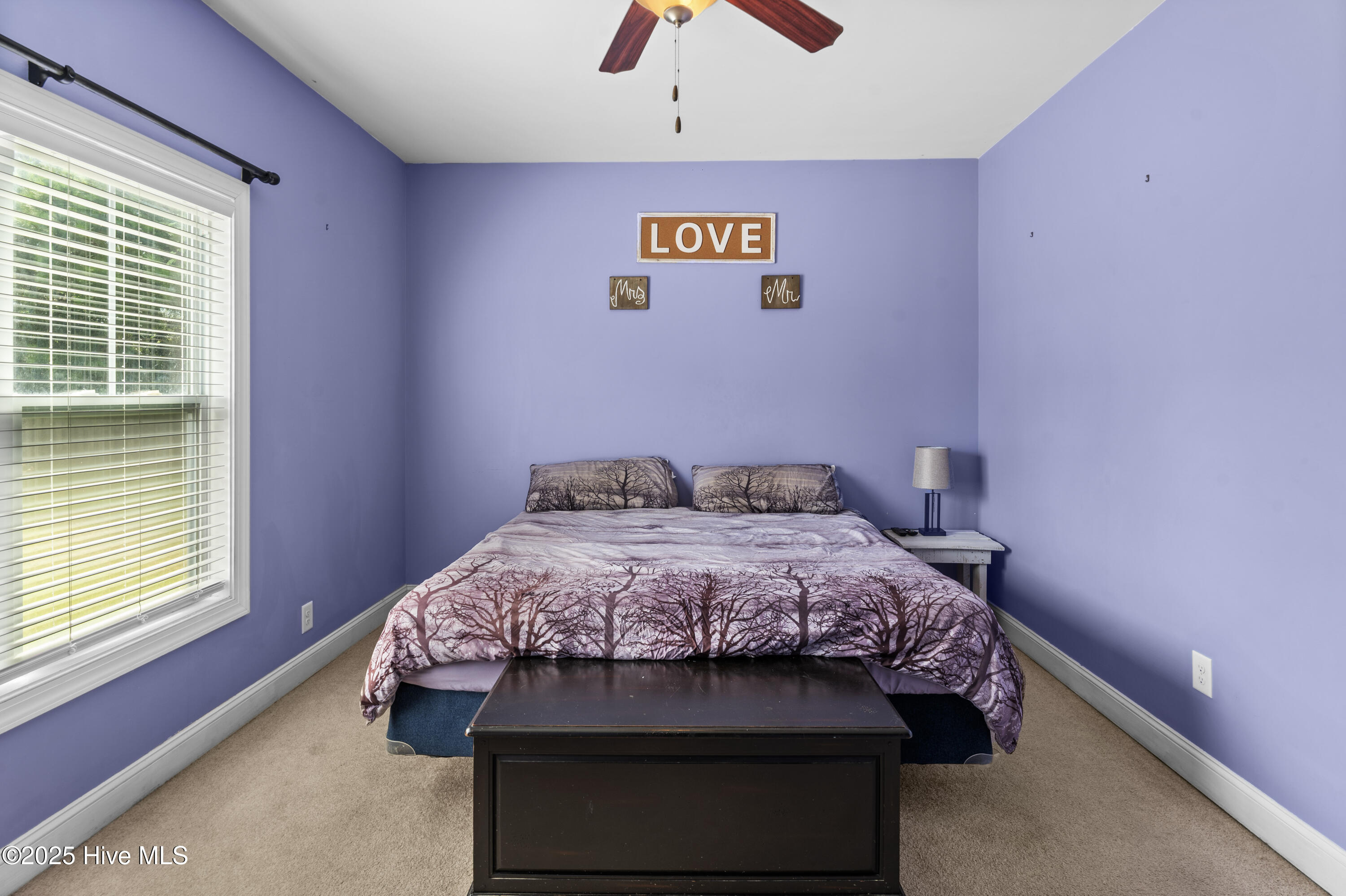 100530056 | Photo 30