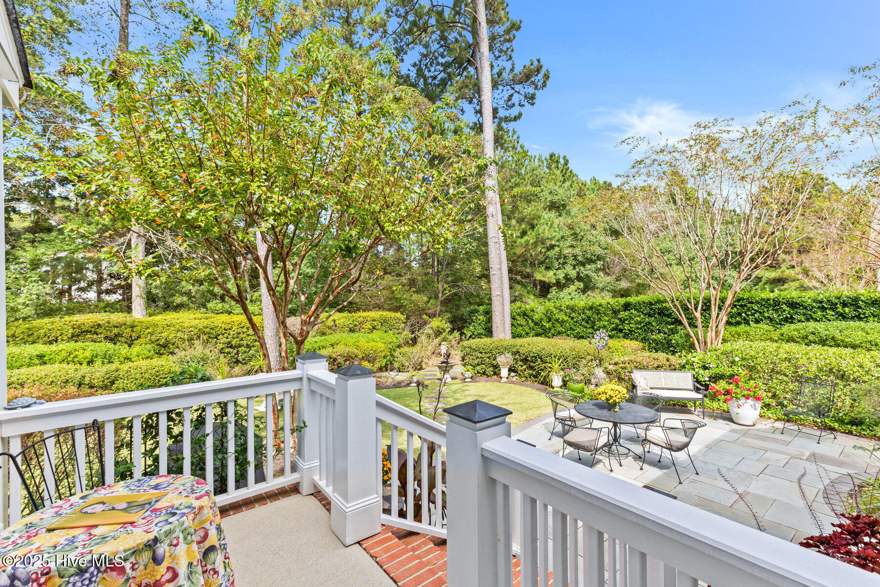 100535740 | Photo 43