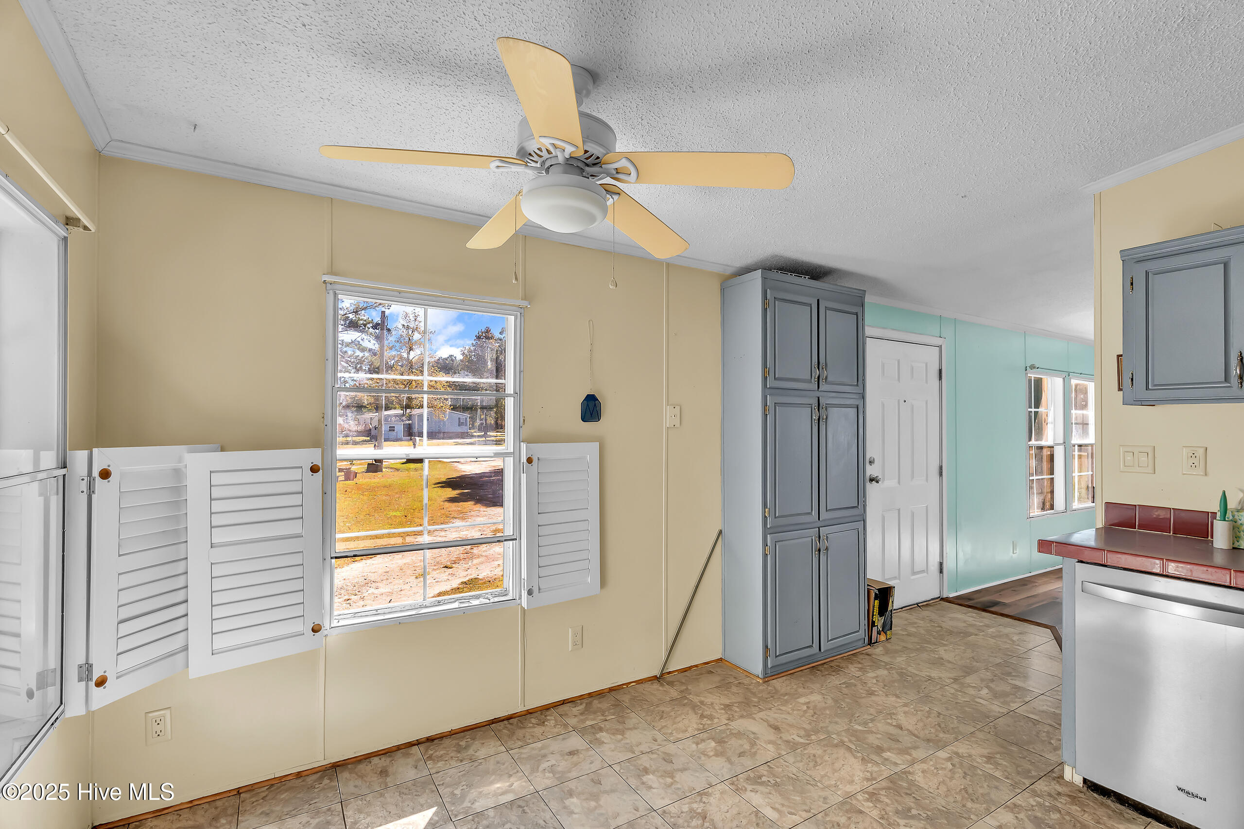 100538064 | Photo 17