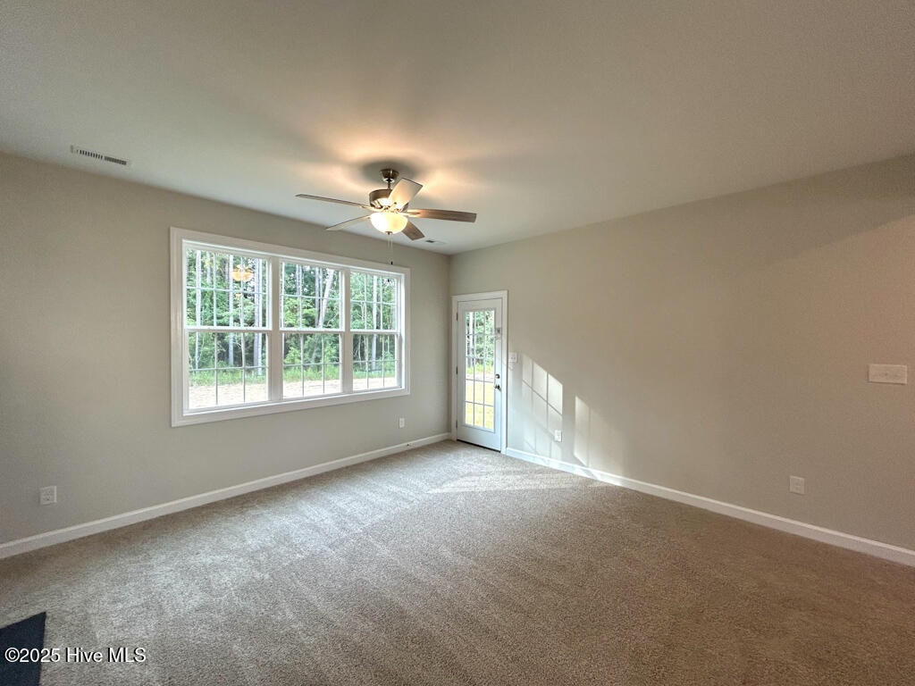 100537397 | Photo 20