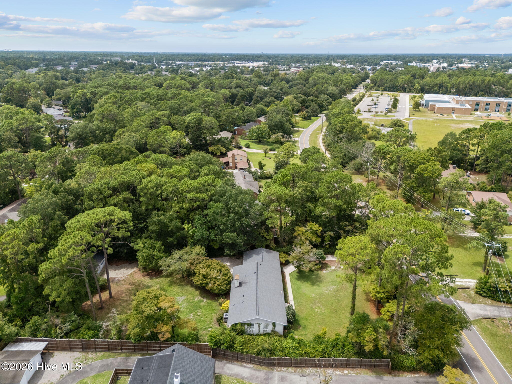 100525803 | Photo 50