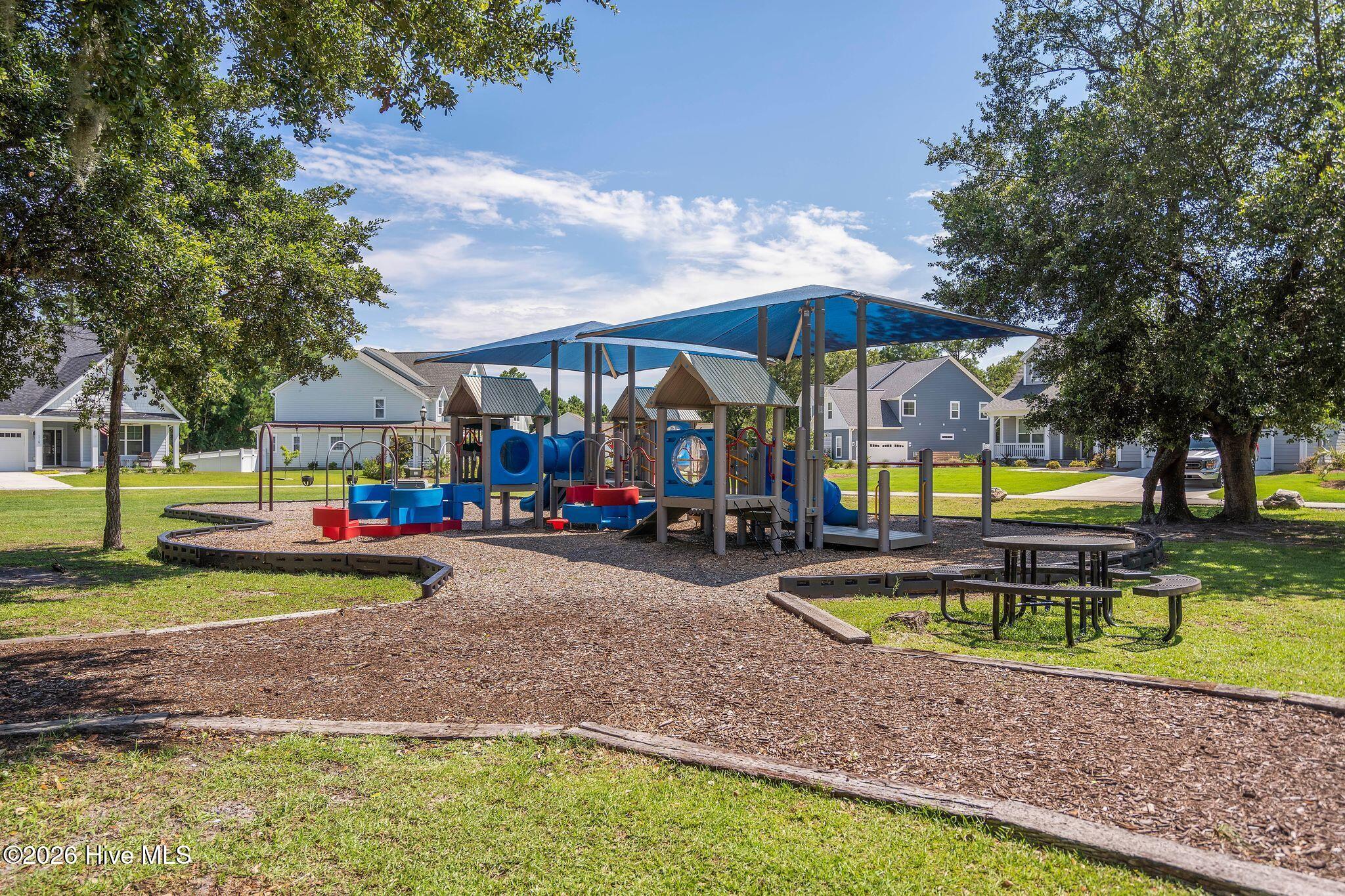 100555521 | Photo 20