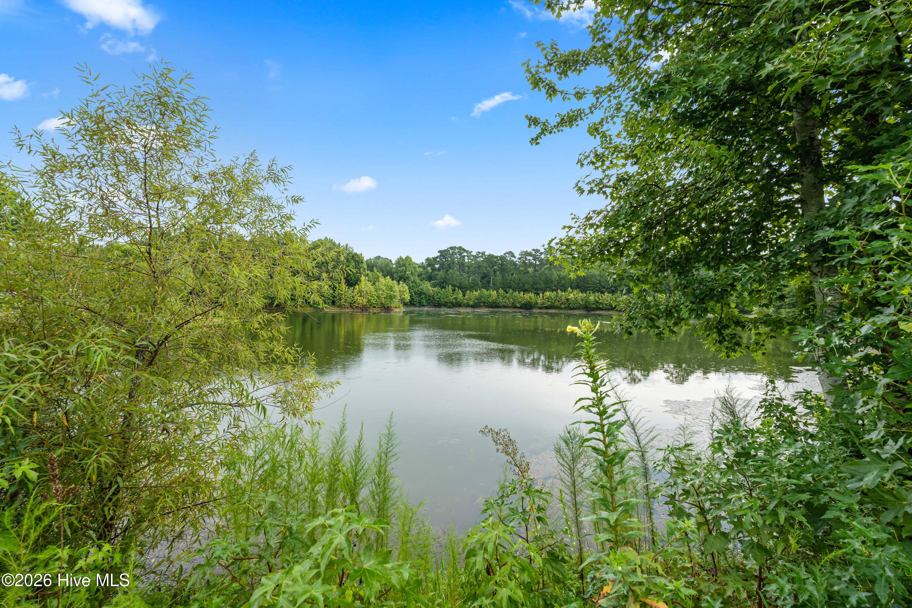 309 Ramonas Lake Court,New Bern