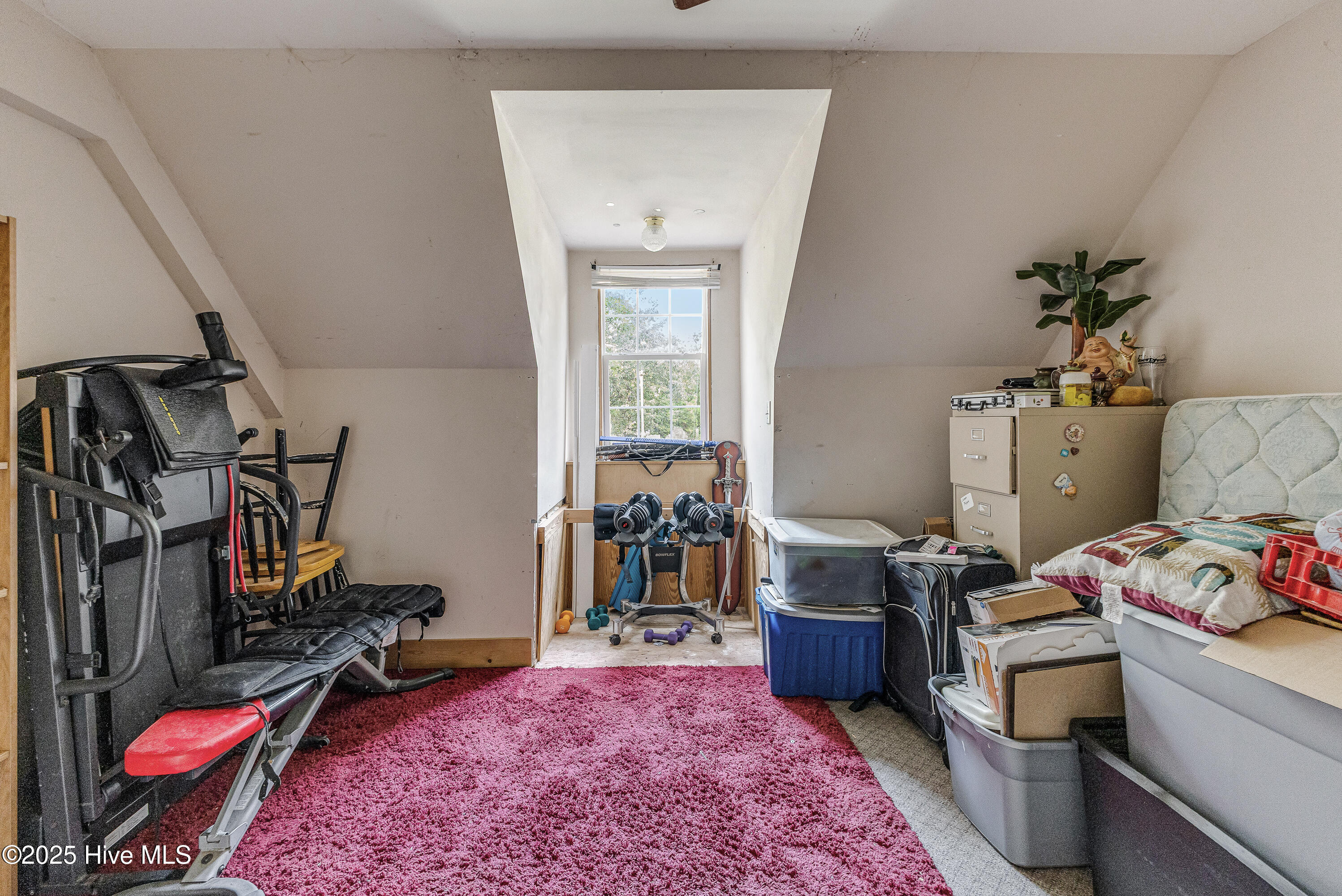 100531169 | Photo 47