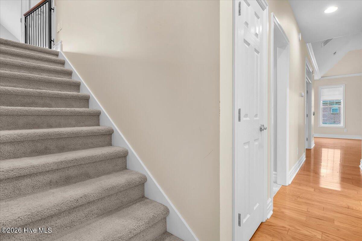 100559889 | Photo 35