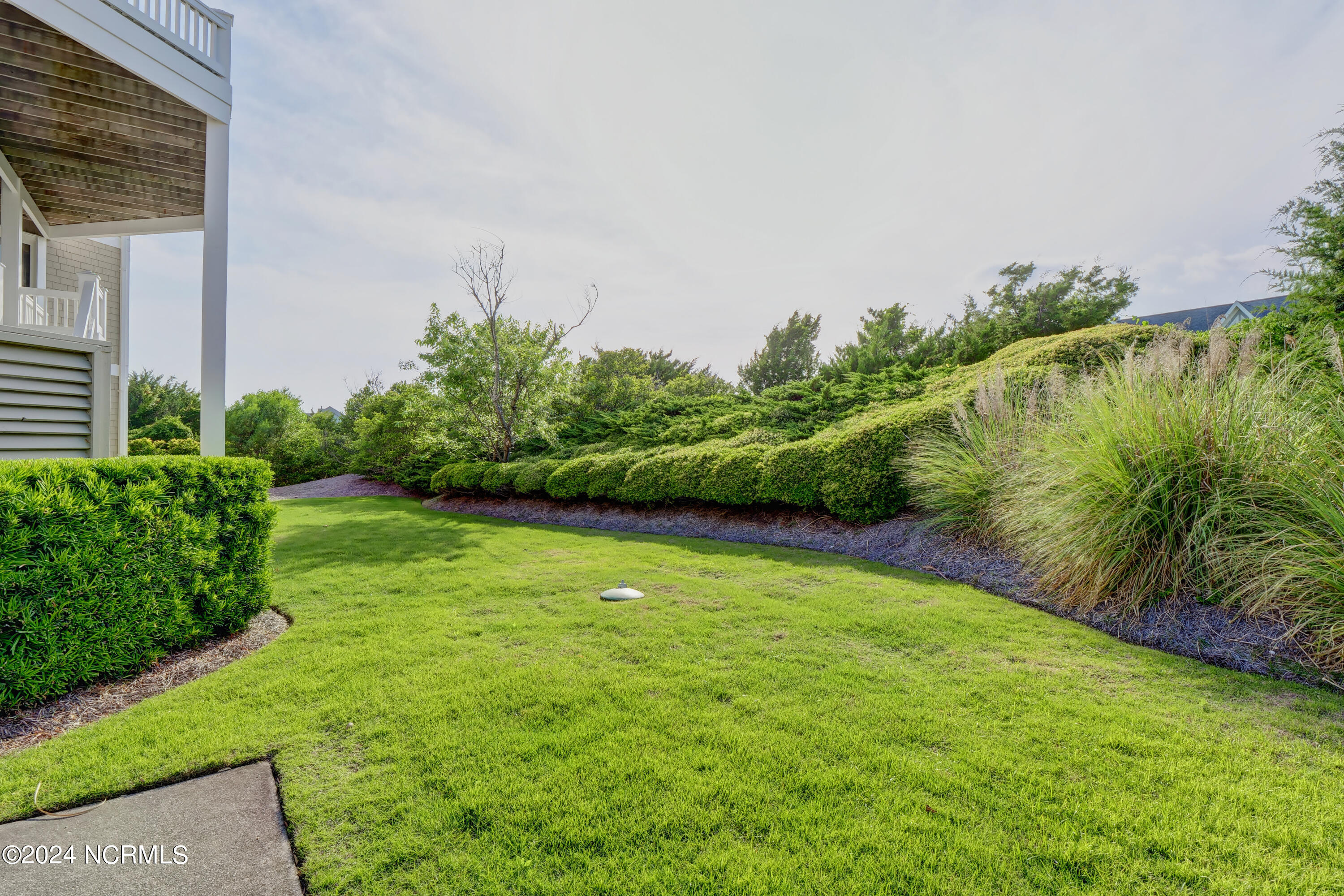 100492123 | Photo 35