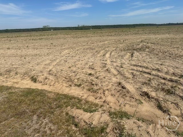 2905 Donald Cobb Road, Bartow, GA, 30413