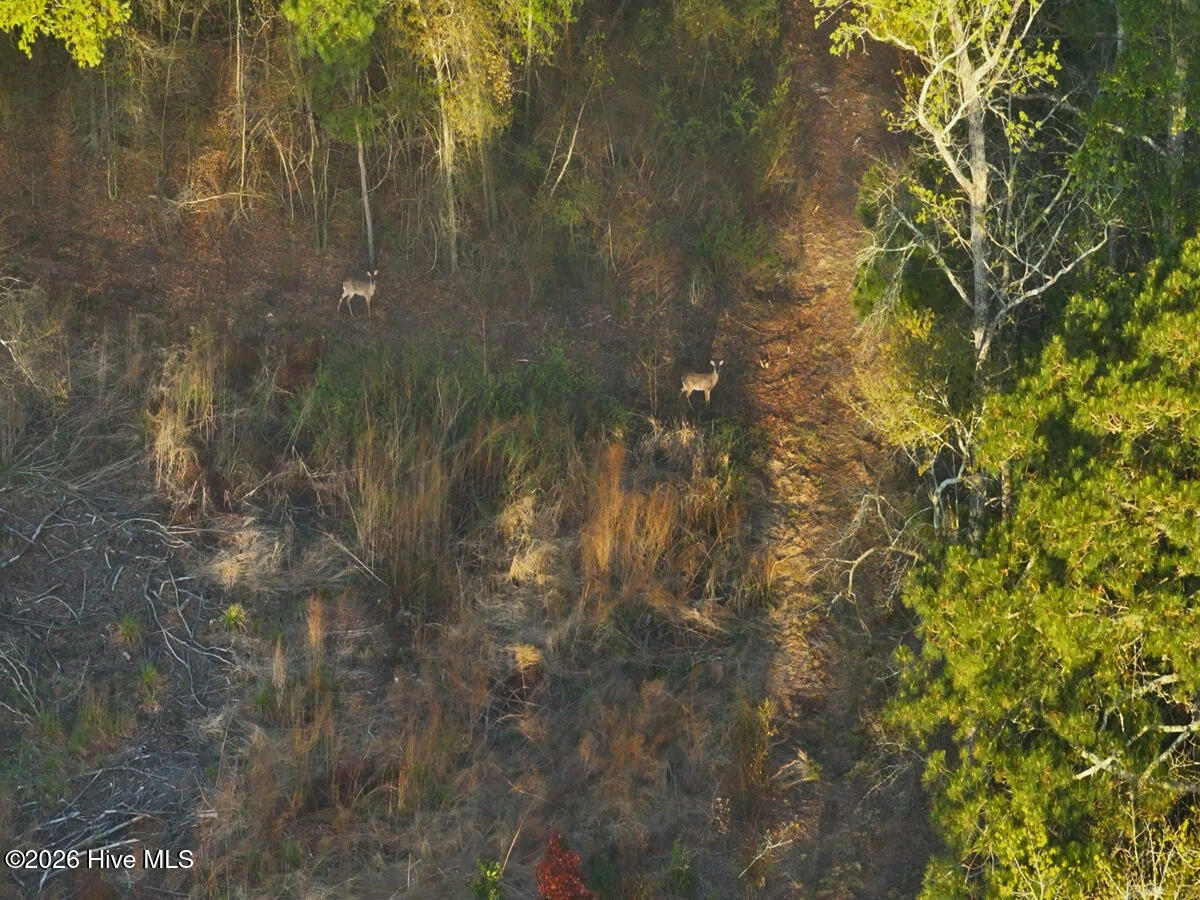 0 Durwood Evans Road, Beulaville, NC, 28518